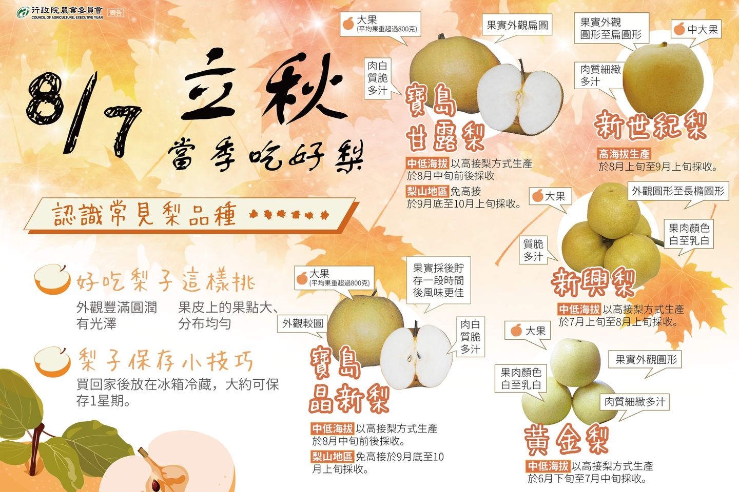 0807立秋當季吃好梨