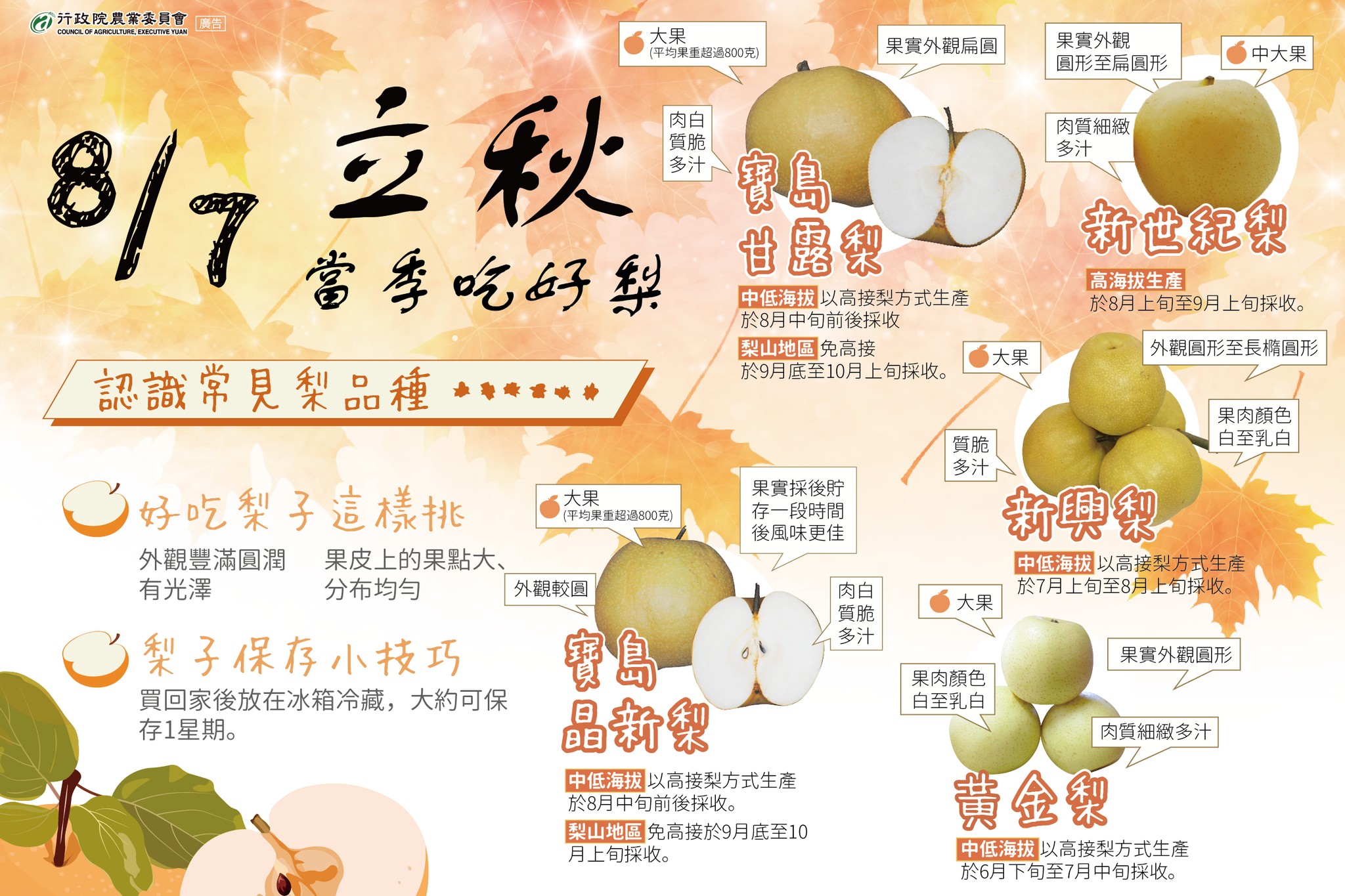 立秋當季吃好梨