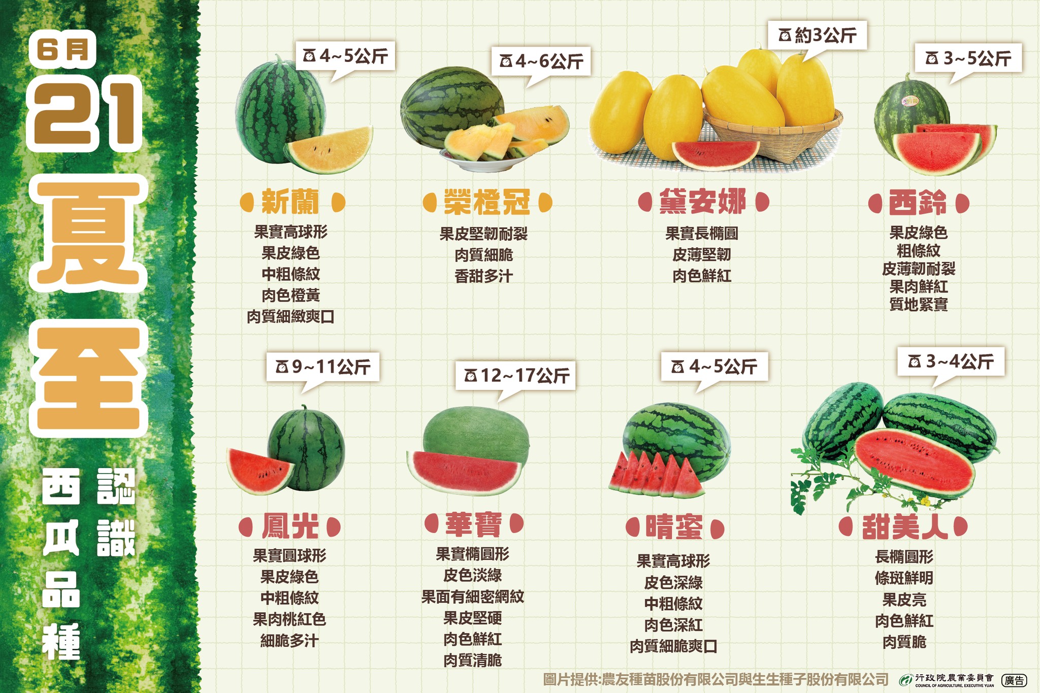 夏至來認識西瓜品種