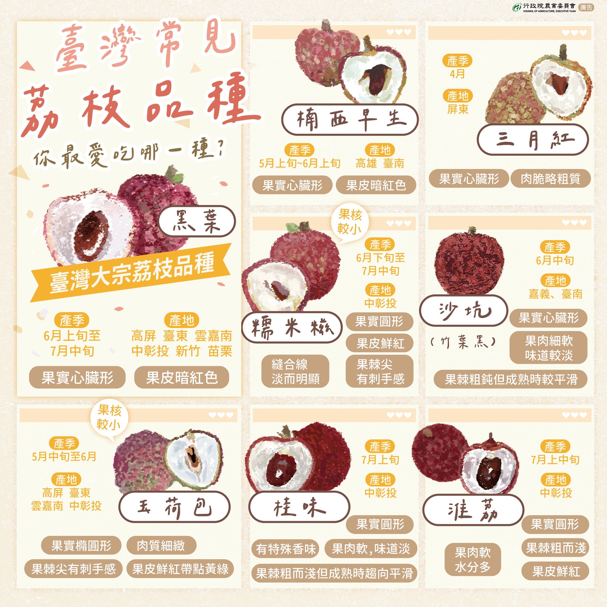 原來荔枝也有分這麼多品種