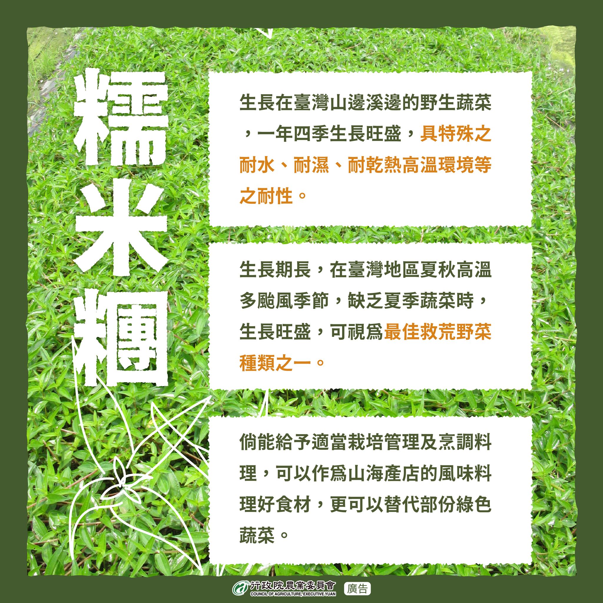 糯米糰