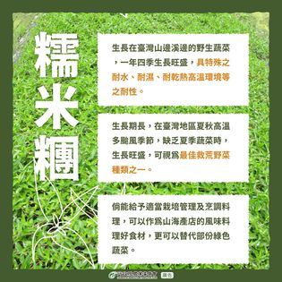 糯米糰