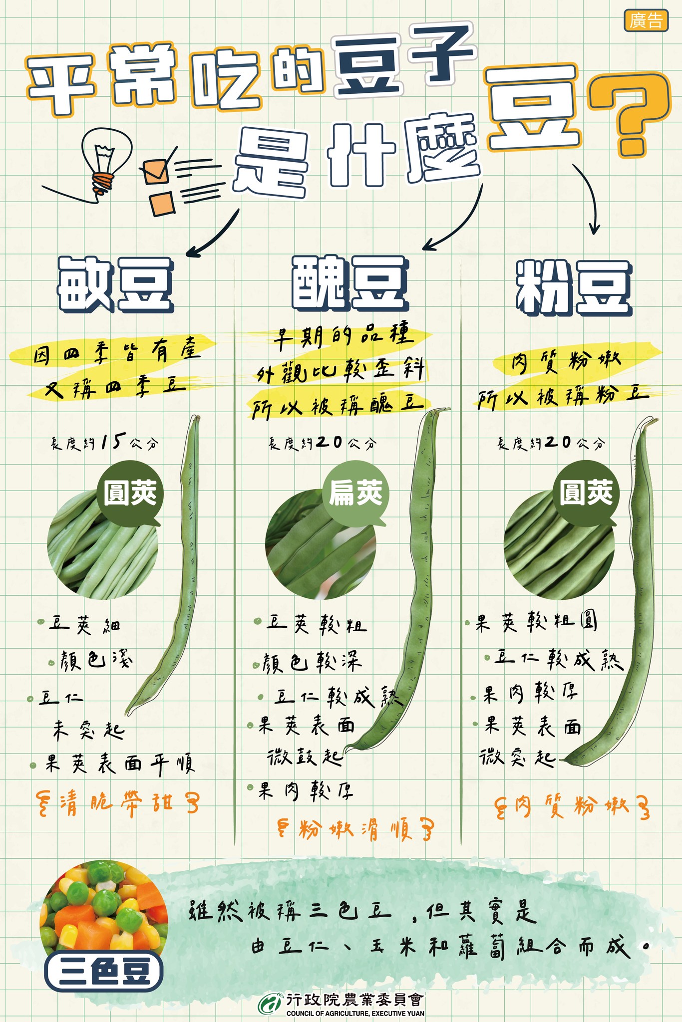 平常吃的豆是什麼豆