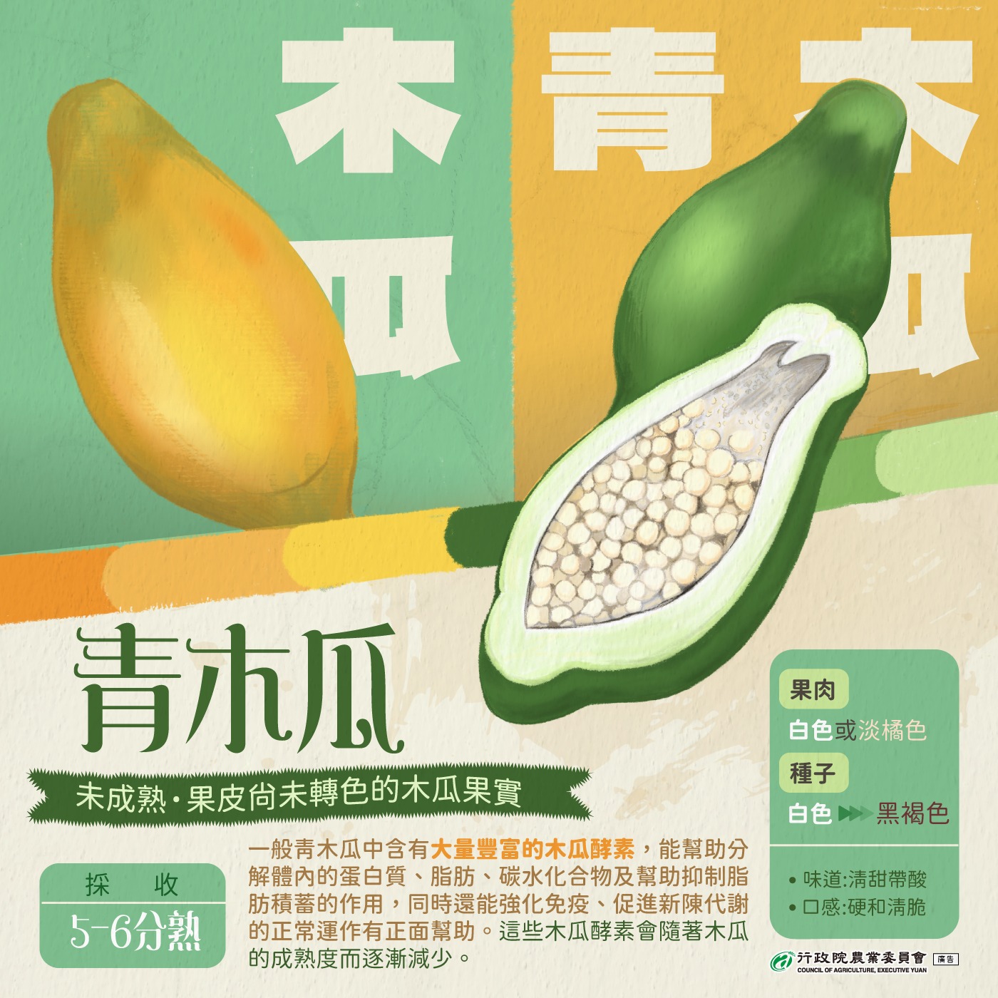青木瓜是木瓜的一種品種嗎?
