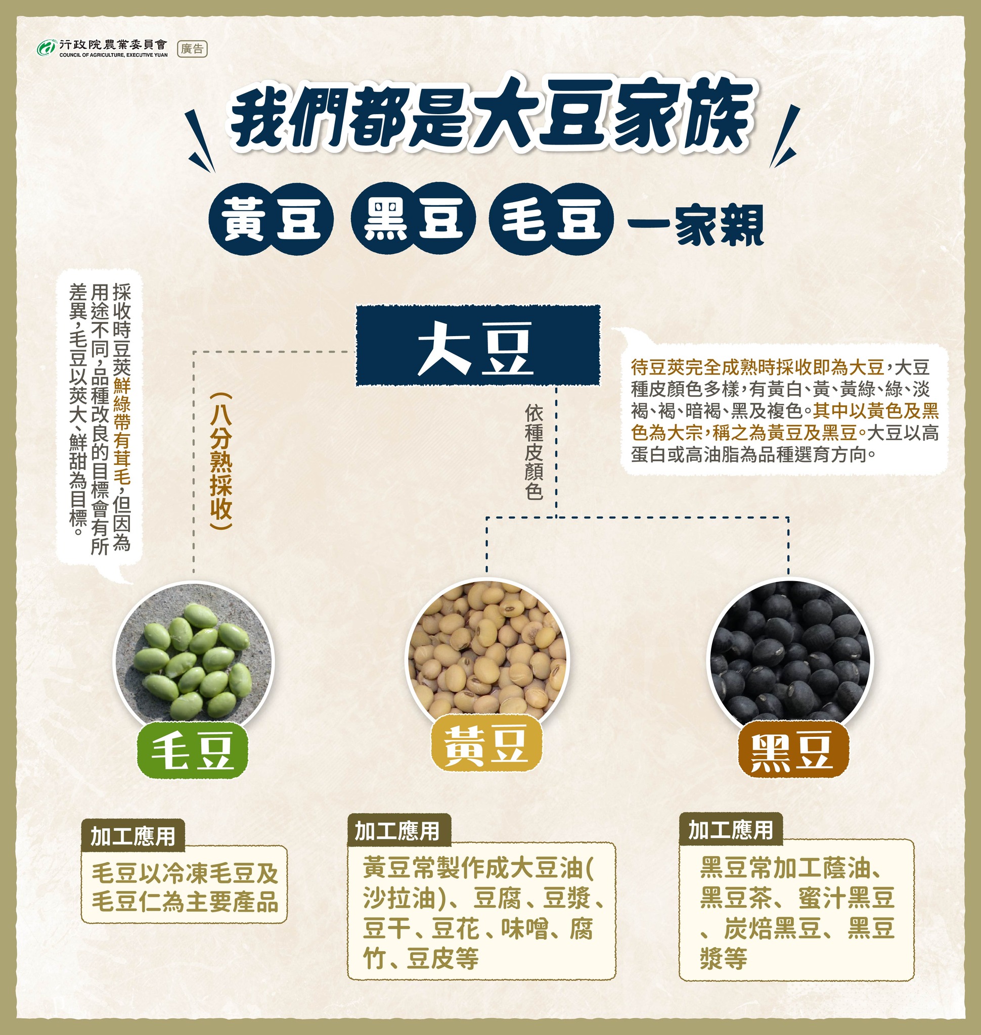 黃豆、黑豆、毛豆，我們都是大豆家族！