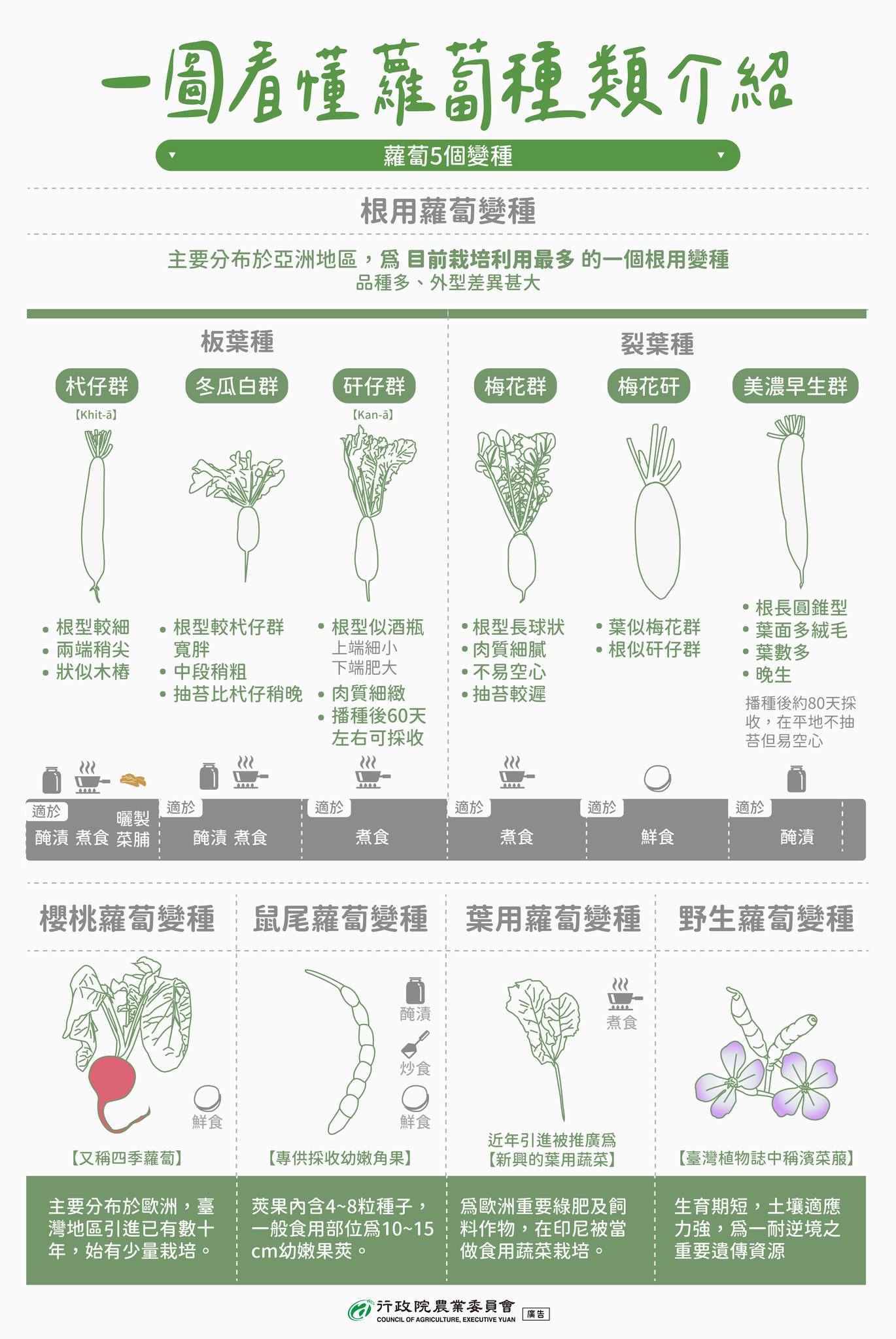 蘿蔔種類介紹