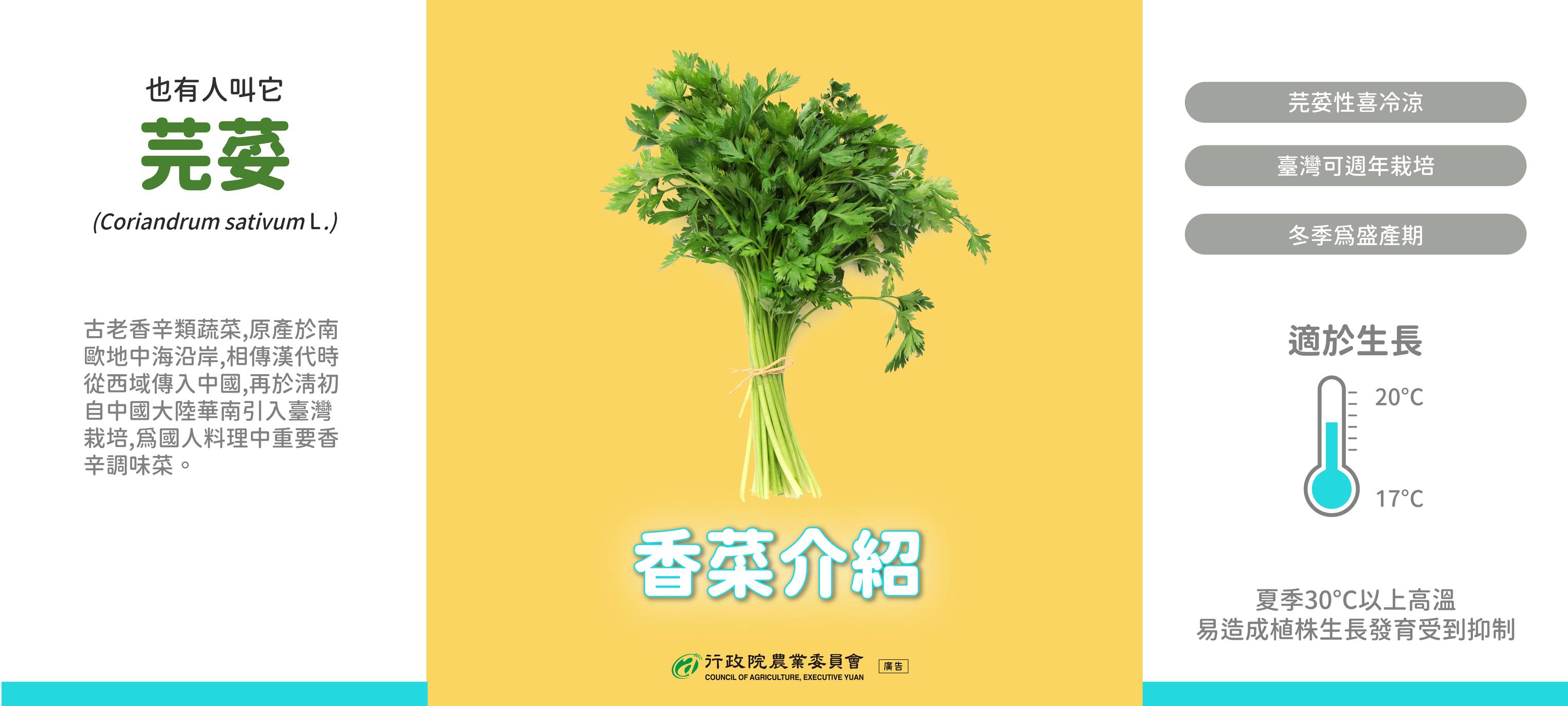 香菜火鍋1