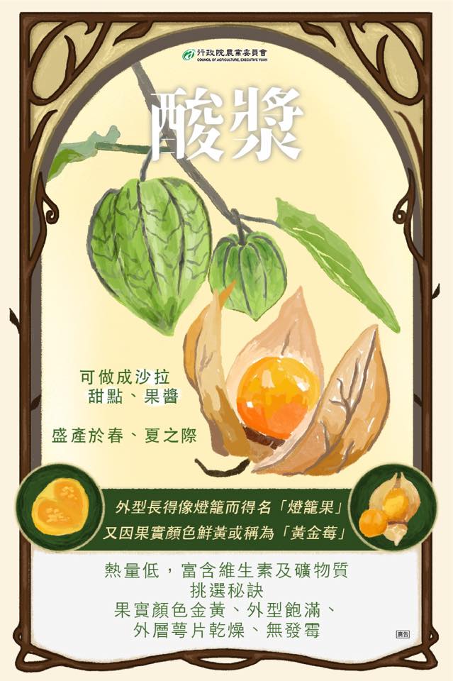 酸漿