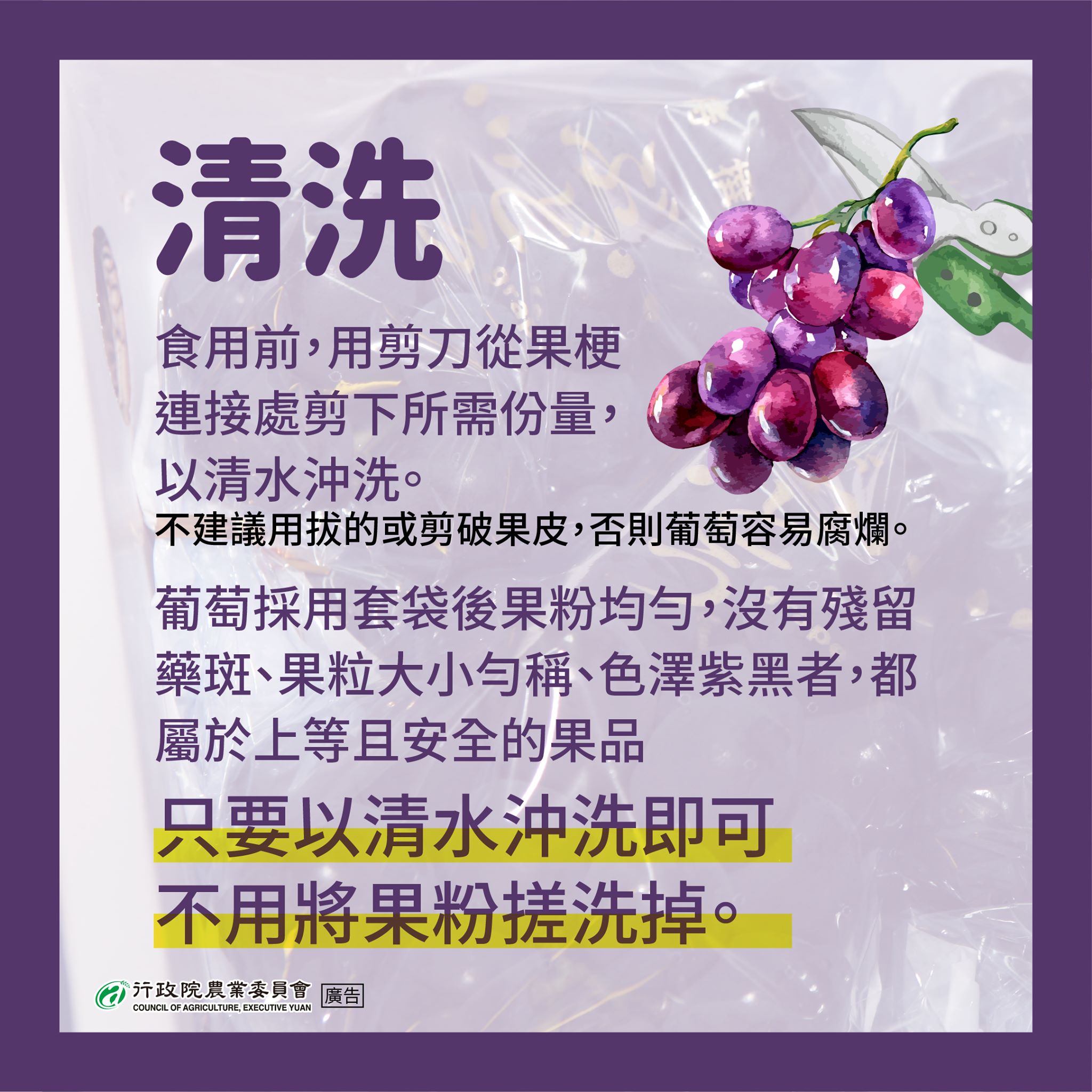 清洗葡萄