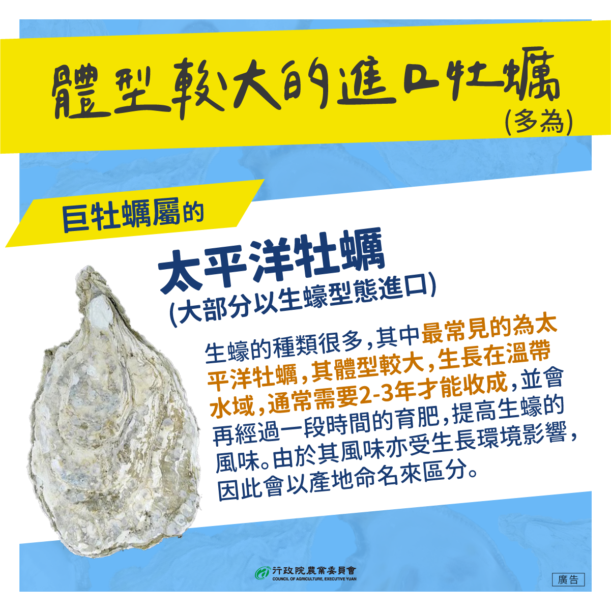 進口牡蠣