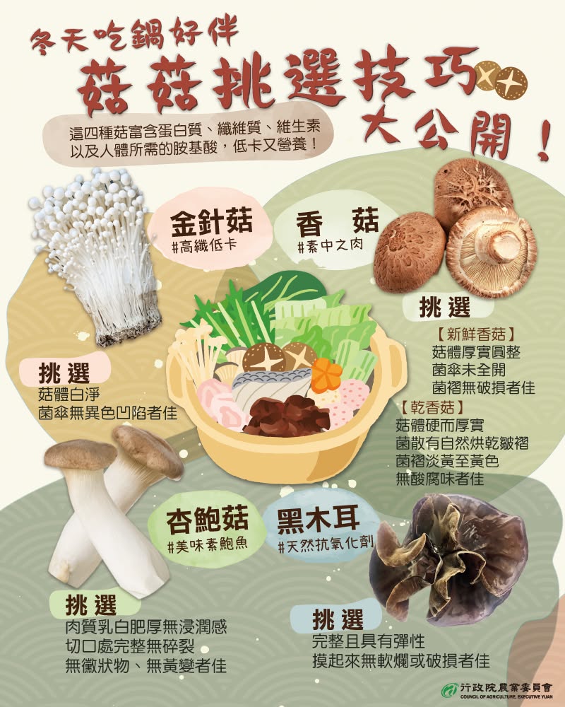 4 種超營養的菇類