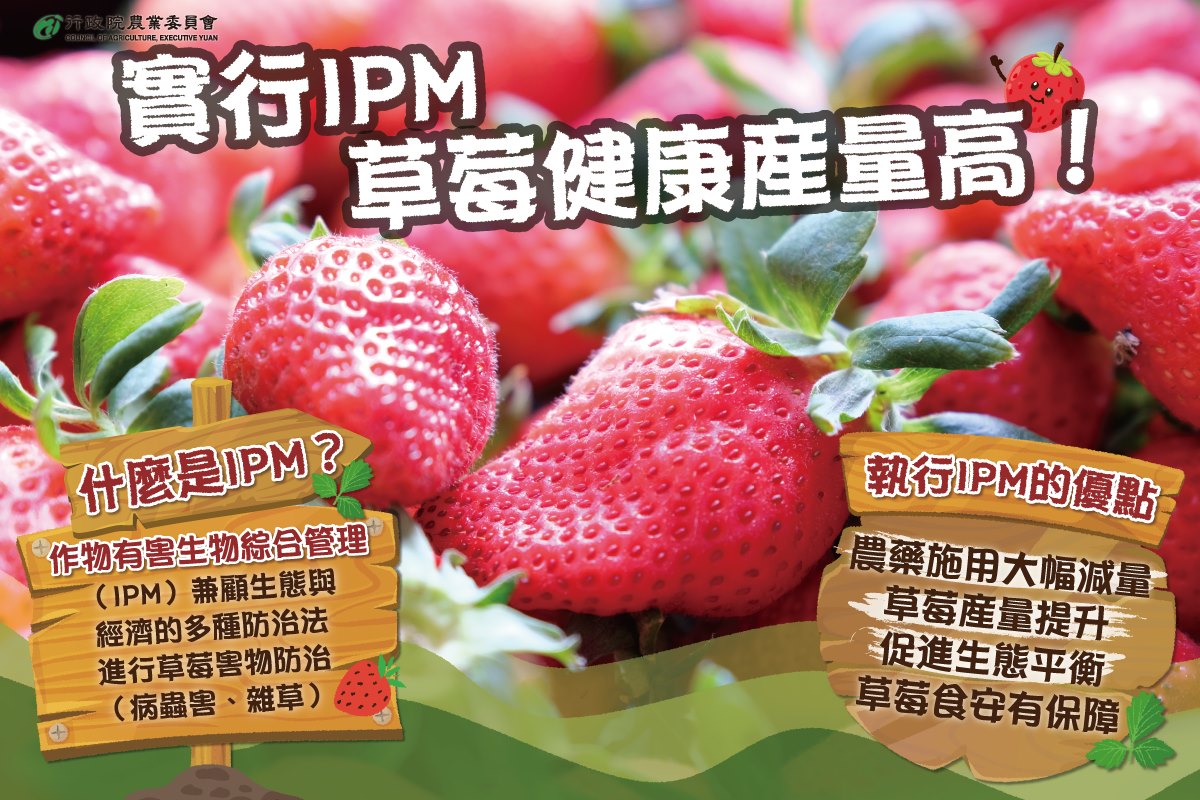 檔名：草莓IPM