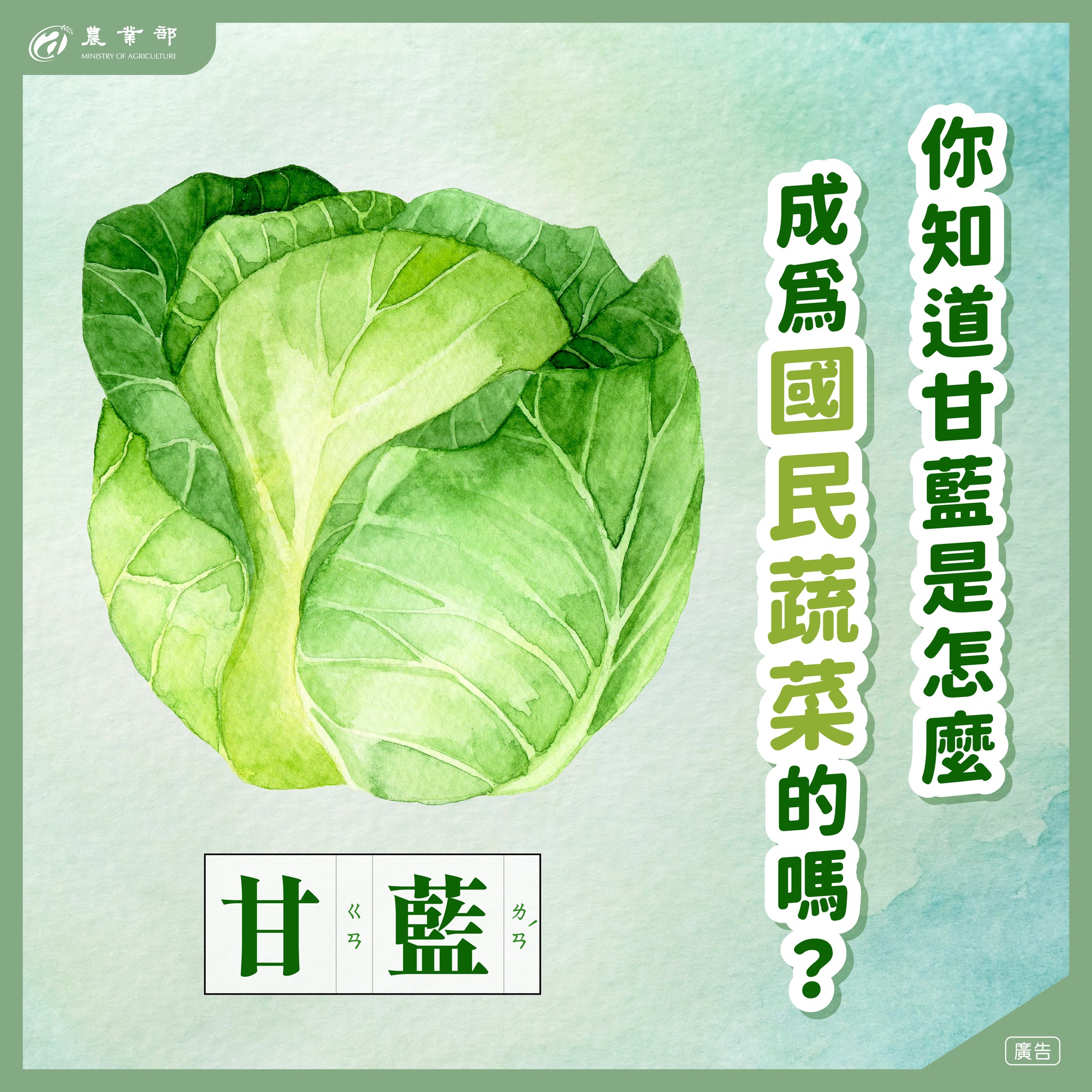 你知道「甘藍」是怎麼成為國民蔬菜的嗎？