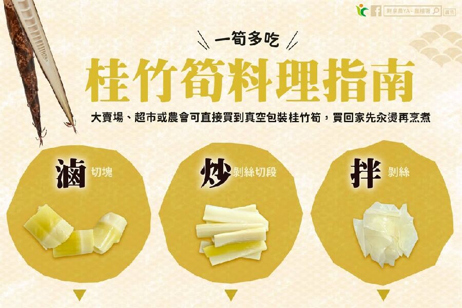 桂竹筍料理指南