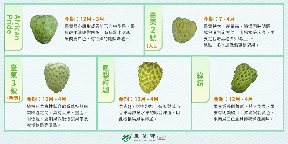 釋迦品種大比拼
