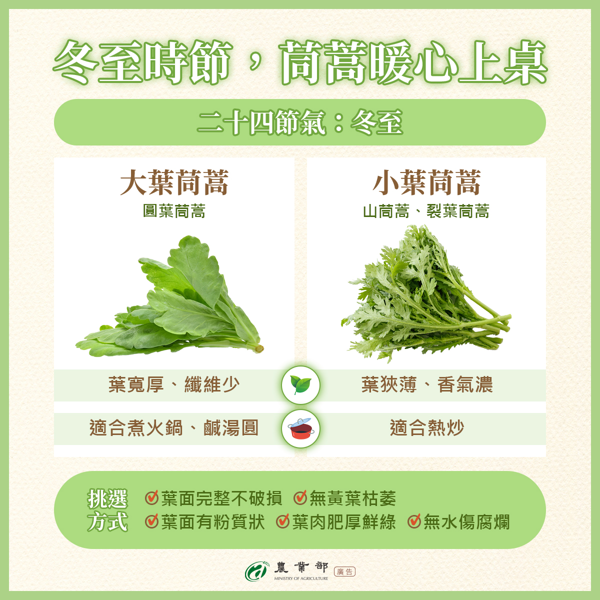 如何挑選新鮮茼蒿