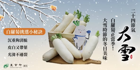 白蘿蔔正當季！