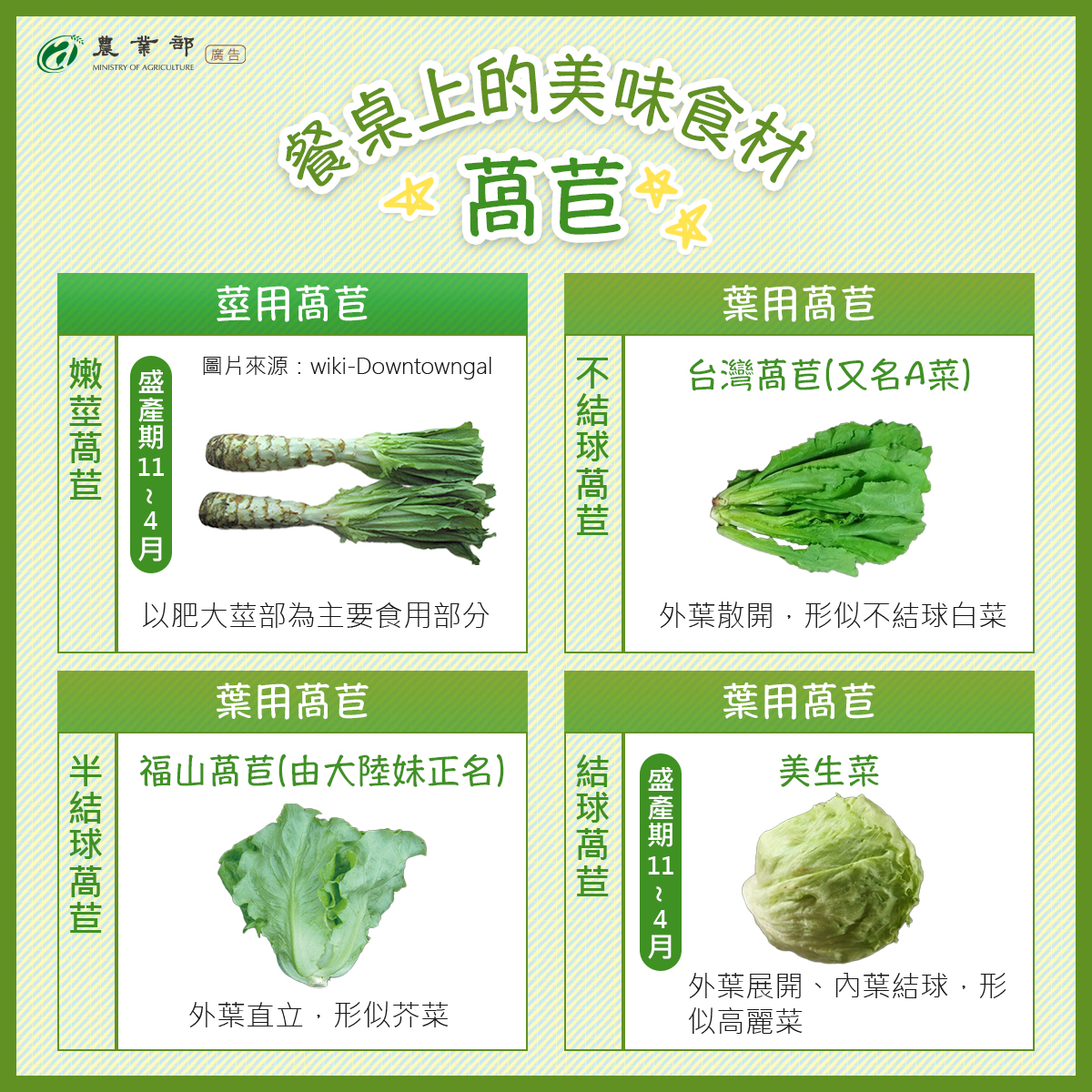 餐桌上的美味食材萵苣