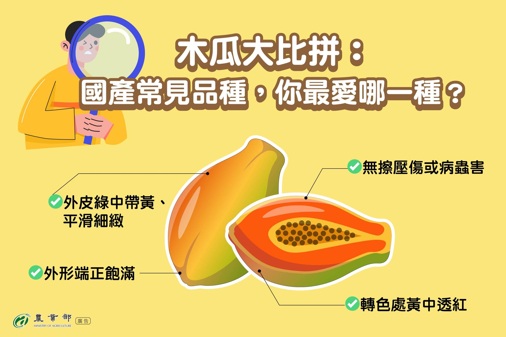 國產木瓜常見品種，你最愛哪一種
