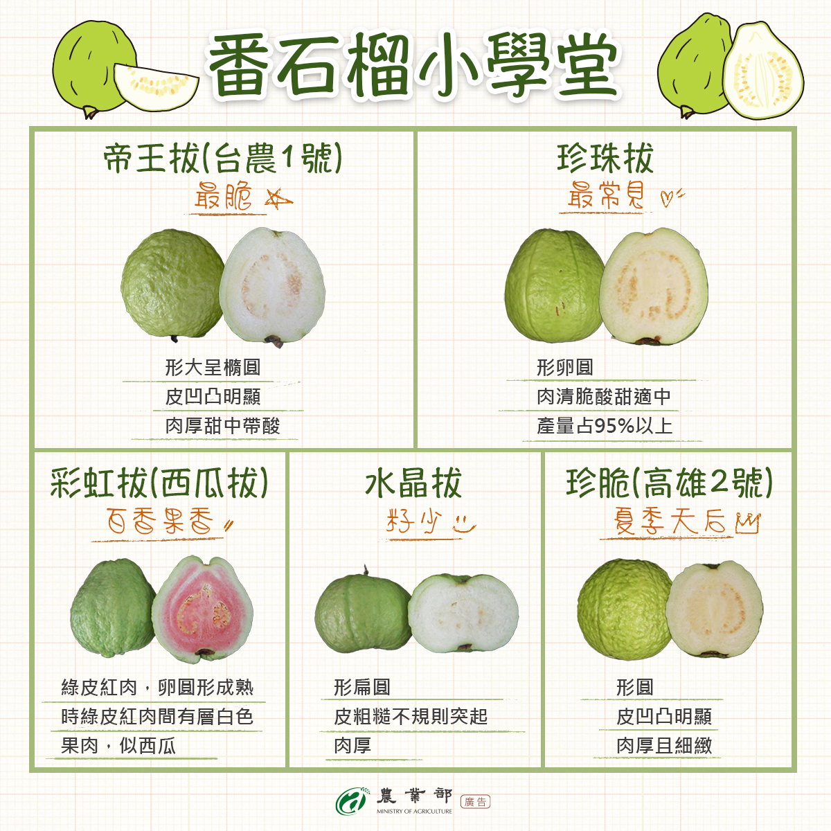 番石榴小學堂