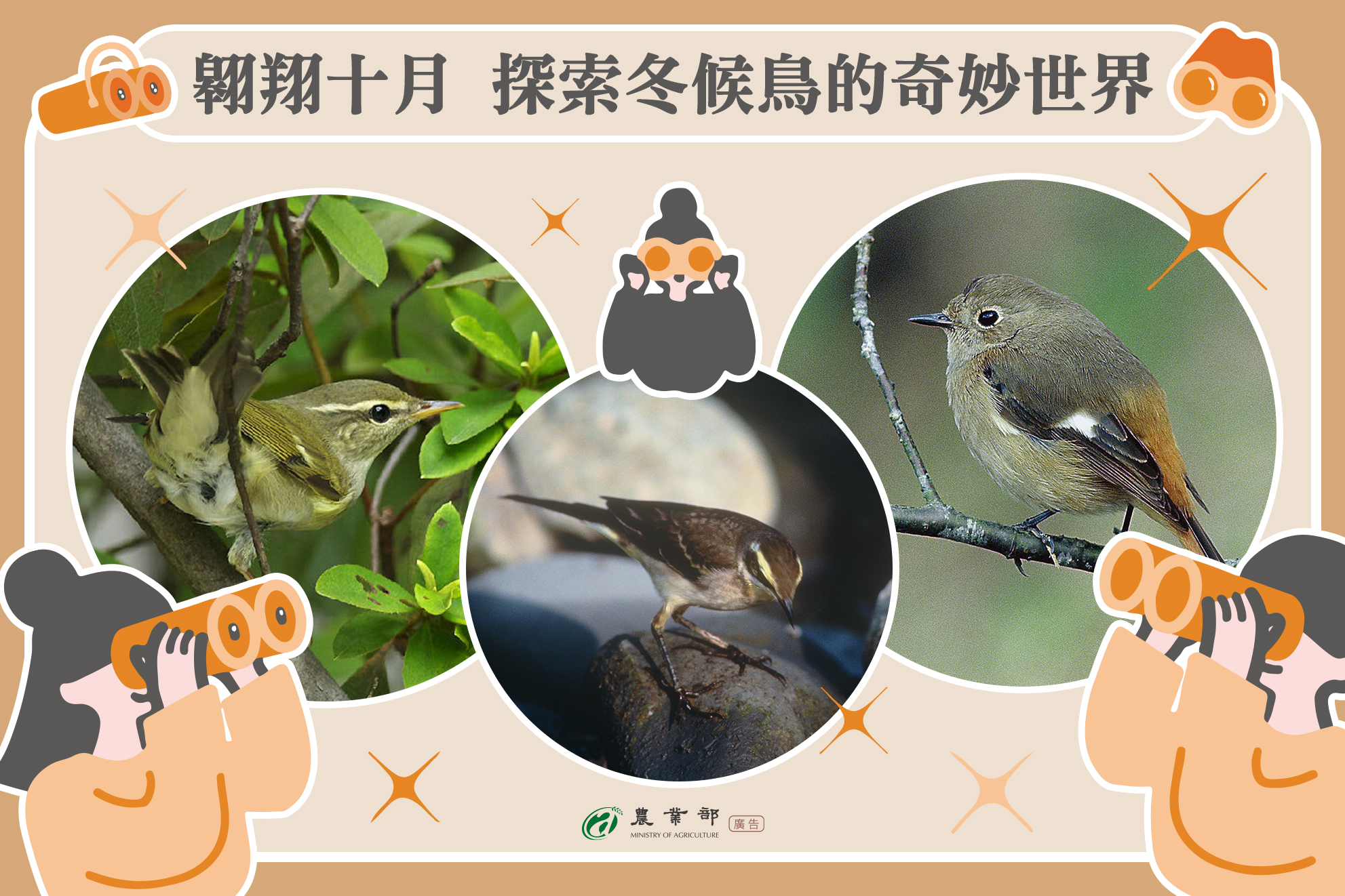 探索冬候鳥的奇妙世界