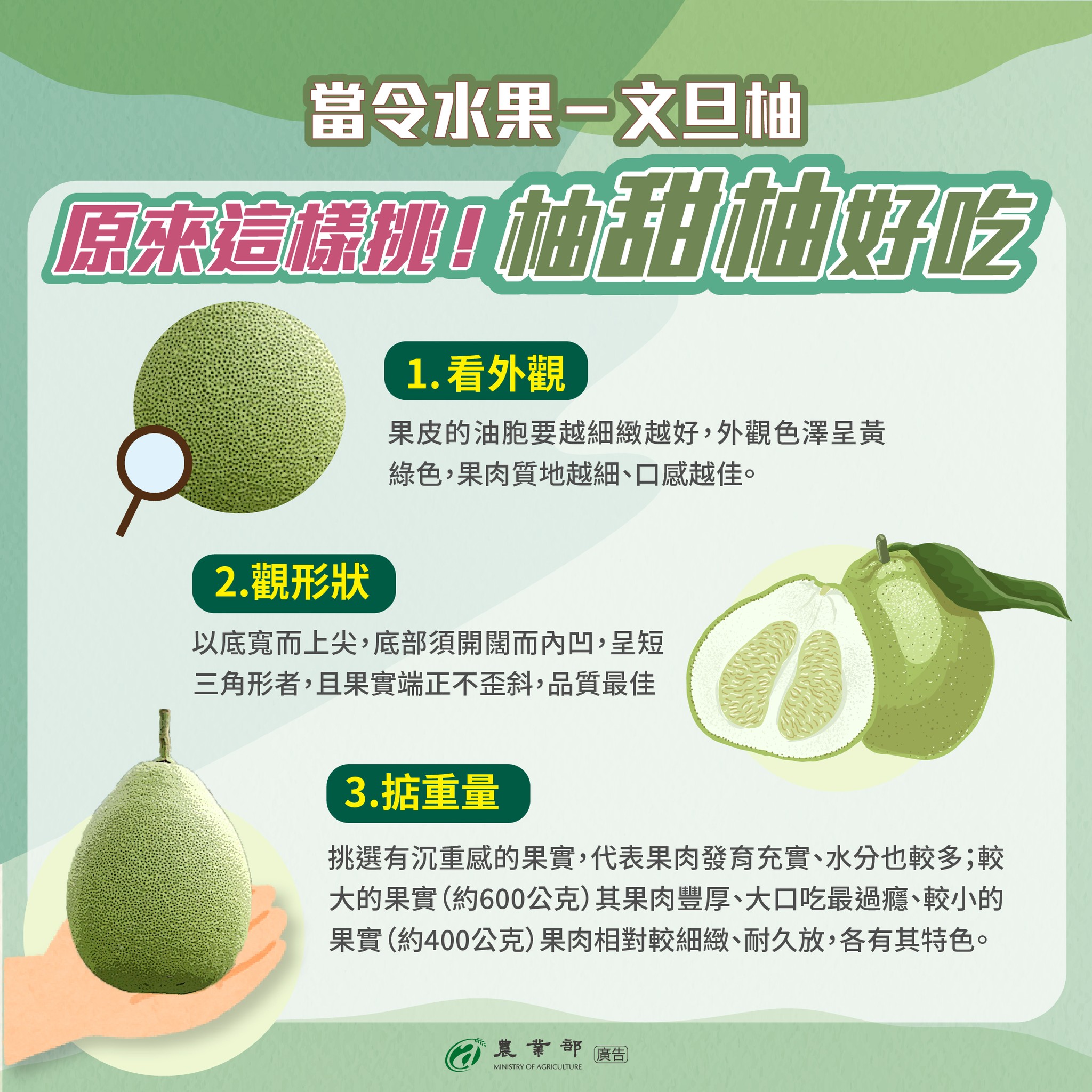 原來這樣挑 柚甜柚好吃