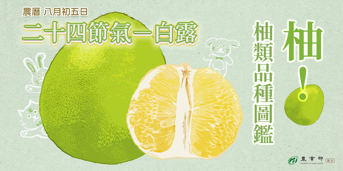 柚類品種圖鑑