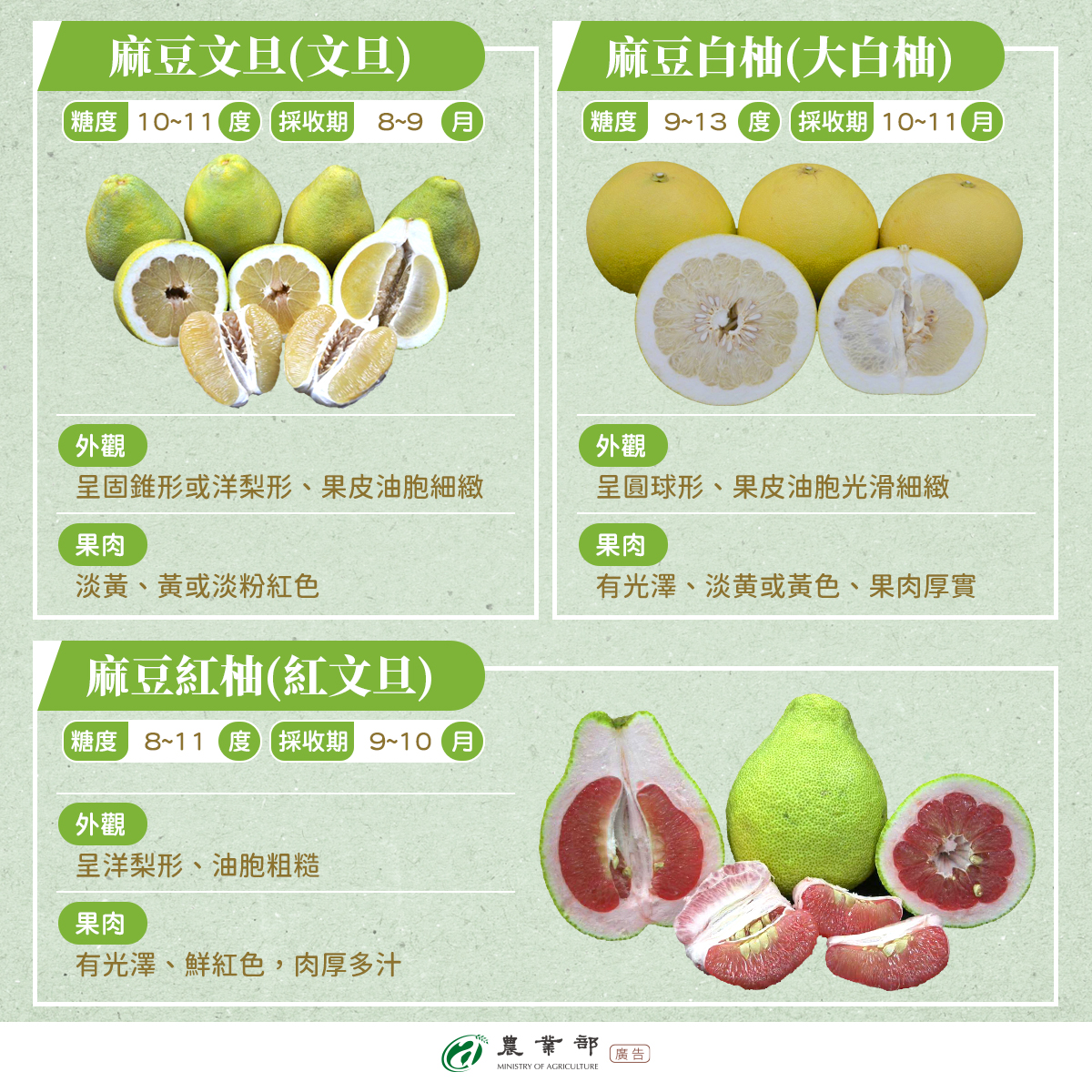 柚類品種圖鑑