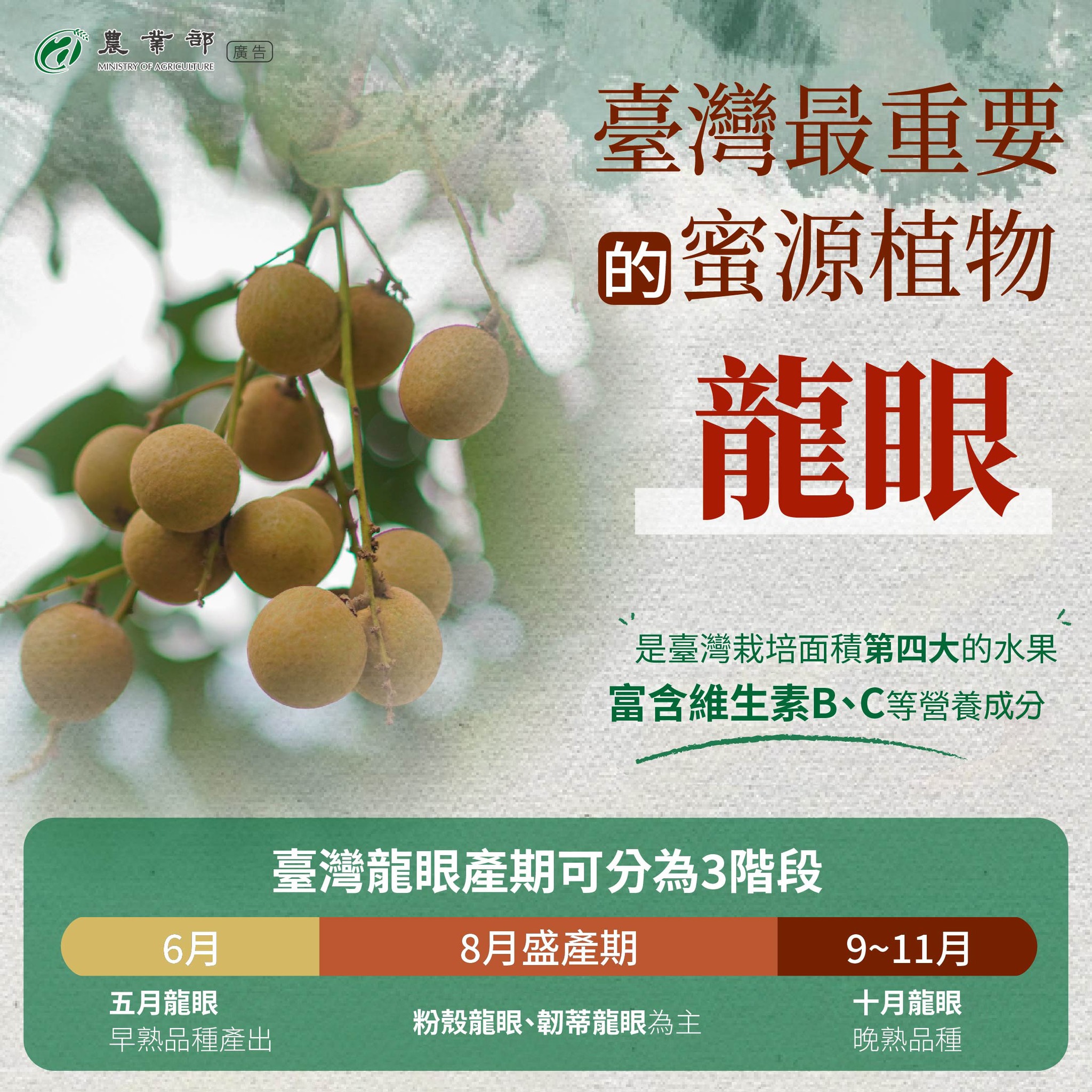 臺灣最重要的蜜源植物
