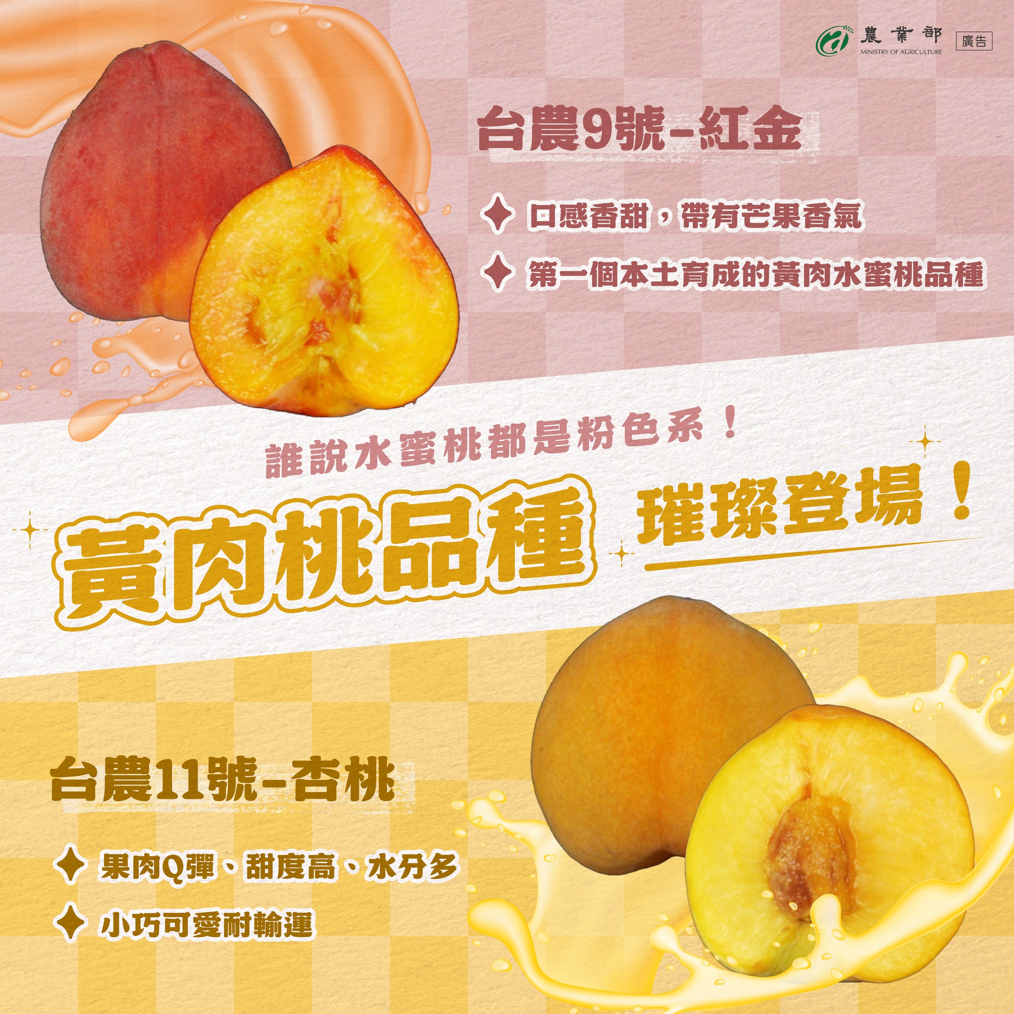 誰說水蜜桃都是粉色系！黃肉桃品種璀璨登場！