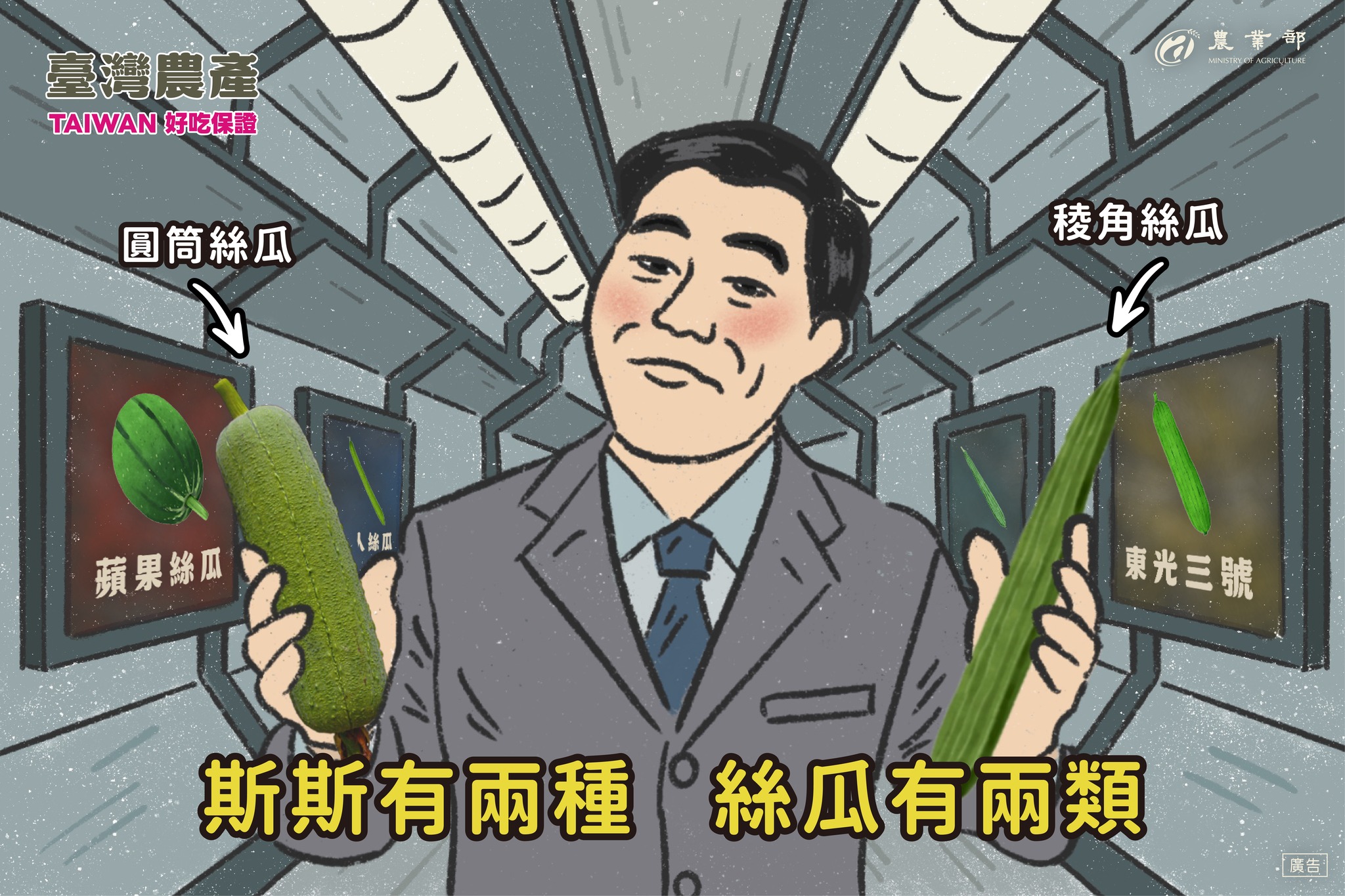 斯斯有兩種，你知道絲瓜也有兩類嗎？