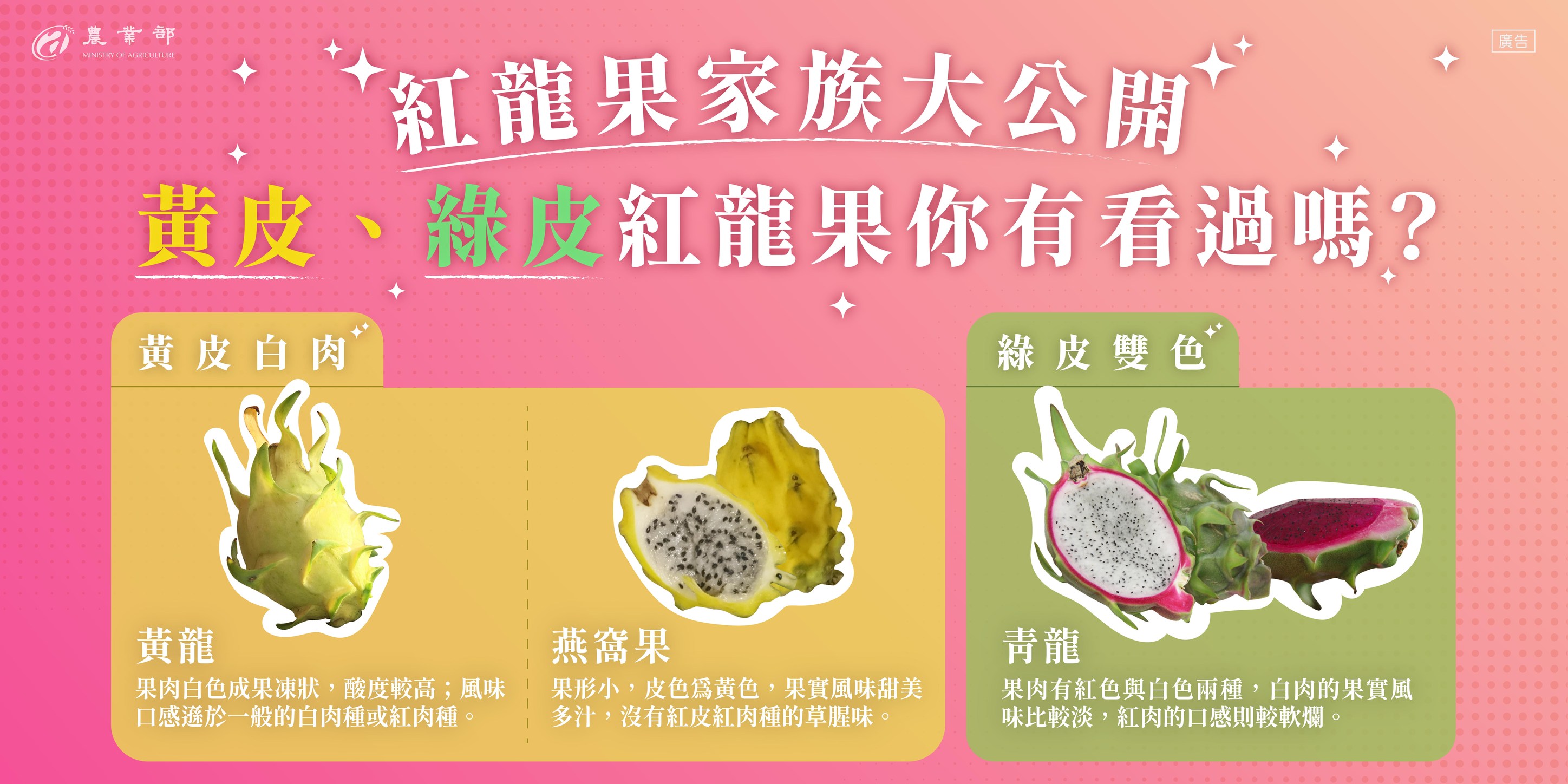 紅龍果家族大公開，你有看過幾種紅龍果？