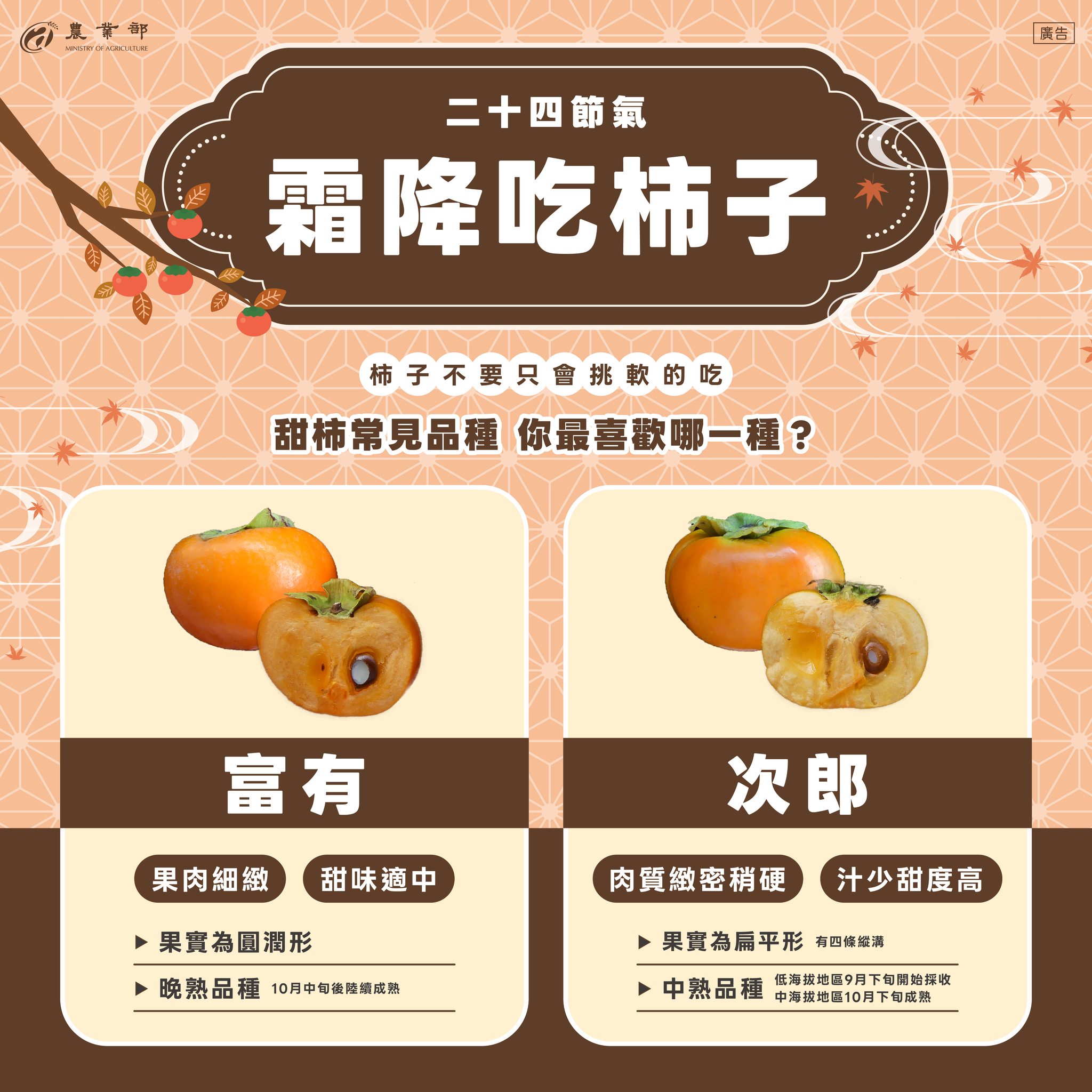 二十四節氣．霜降吃柿子！