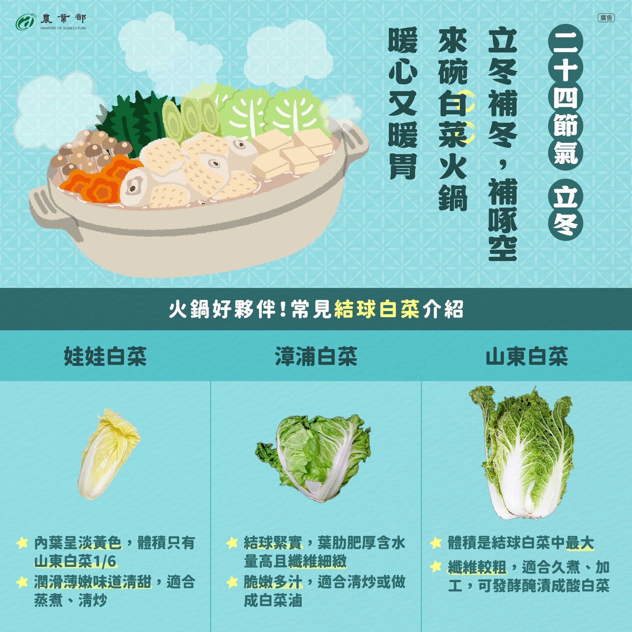 二十四節氣，立冬！不知不覺已經到了吃鍋的季節了！今天來介紹火鍋好夥伴「結球白菜」！