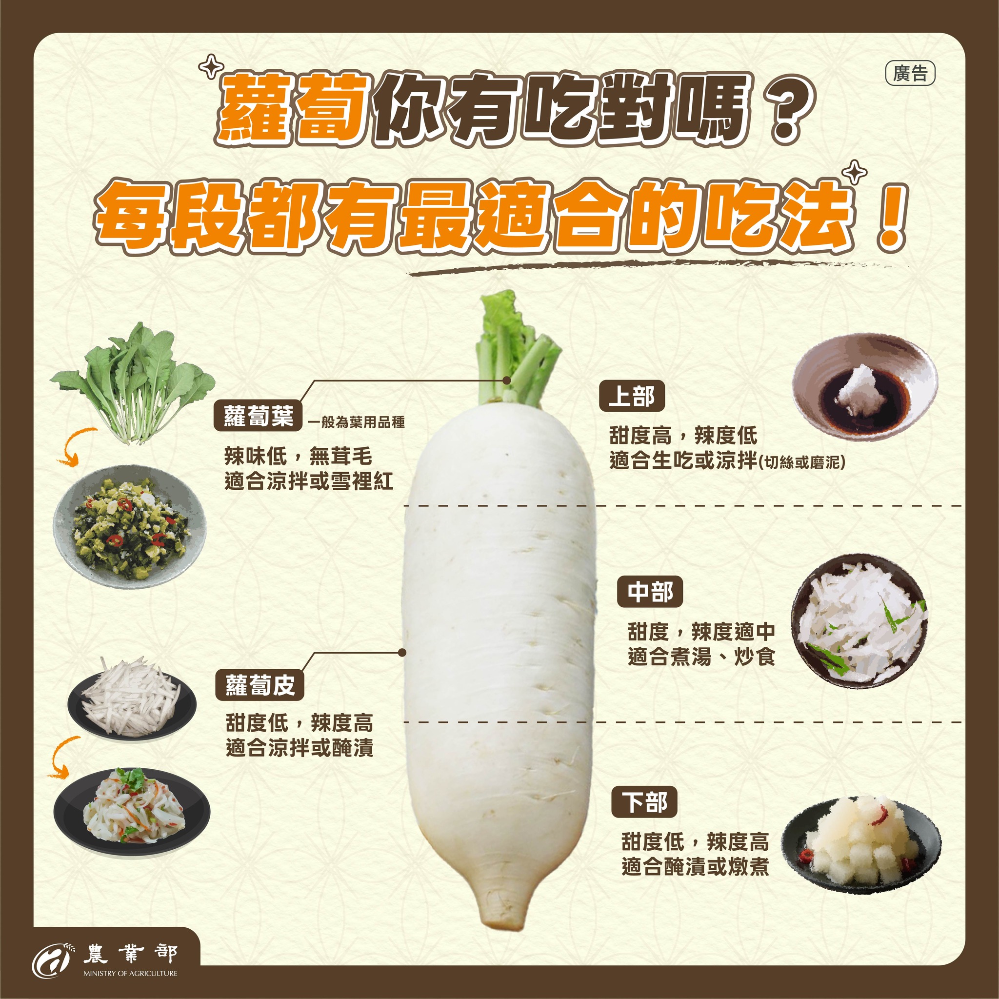 冬天吃蘿蔔正著時，不管是煮蘿蔔湯，還是醃漬涼拌都好吃