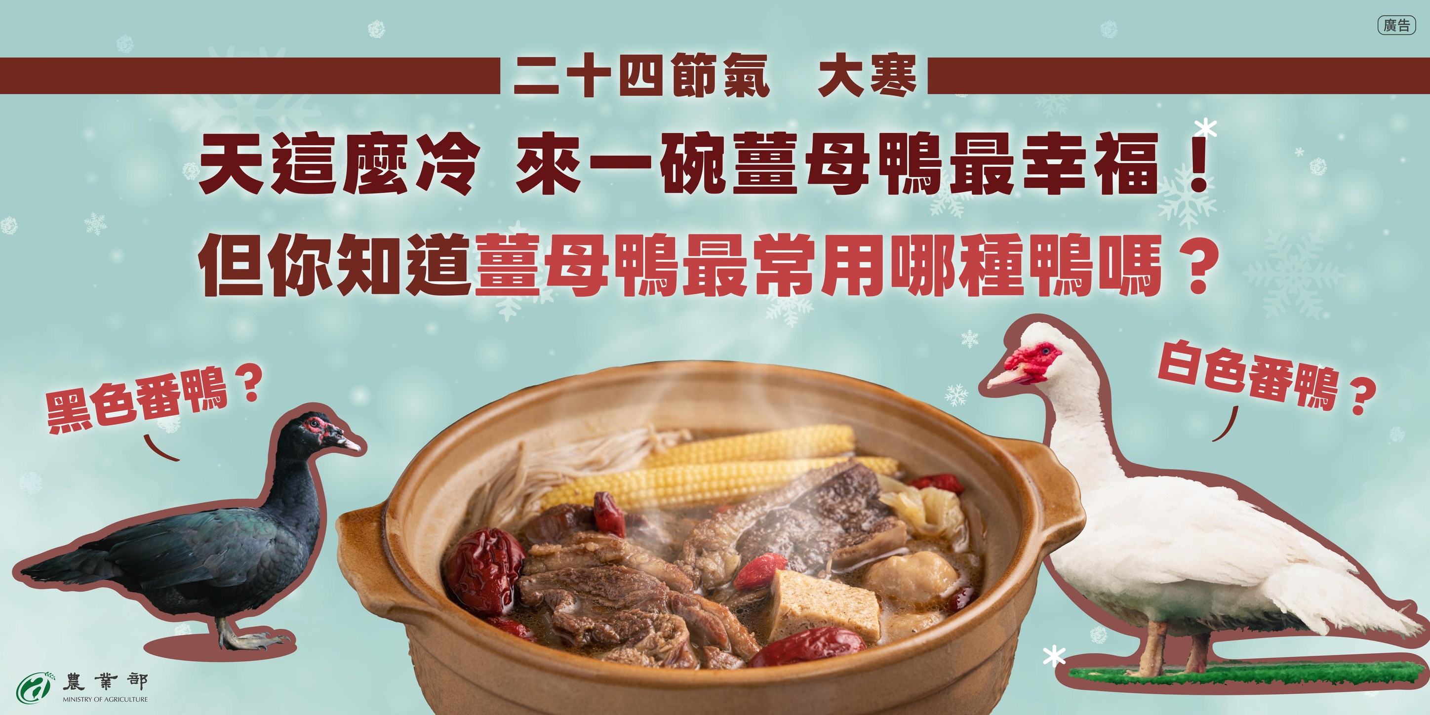 二十四節氣，大寒！這個冬天你吃薑母鴨了嗎？