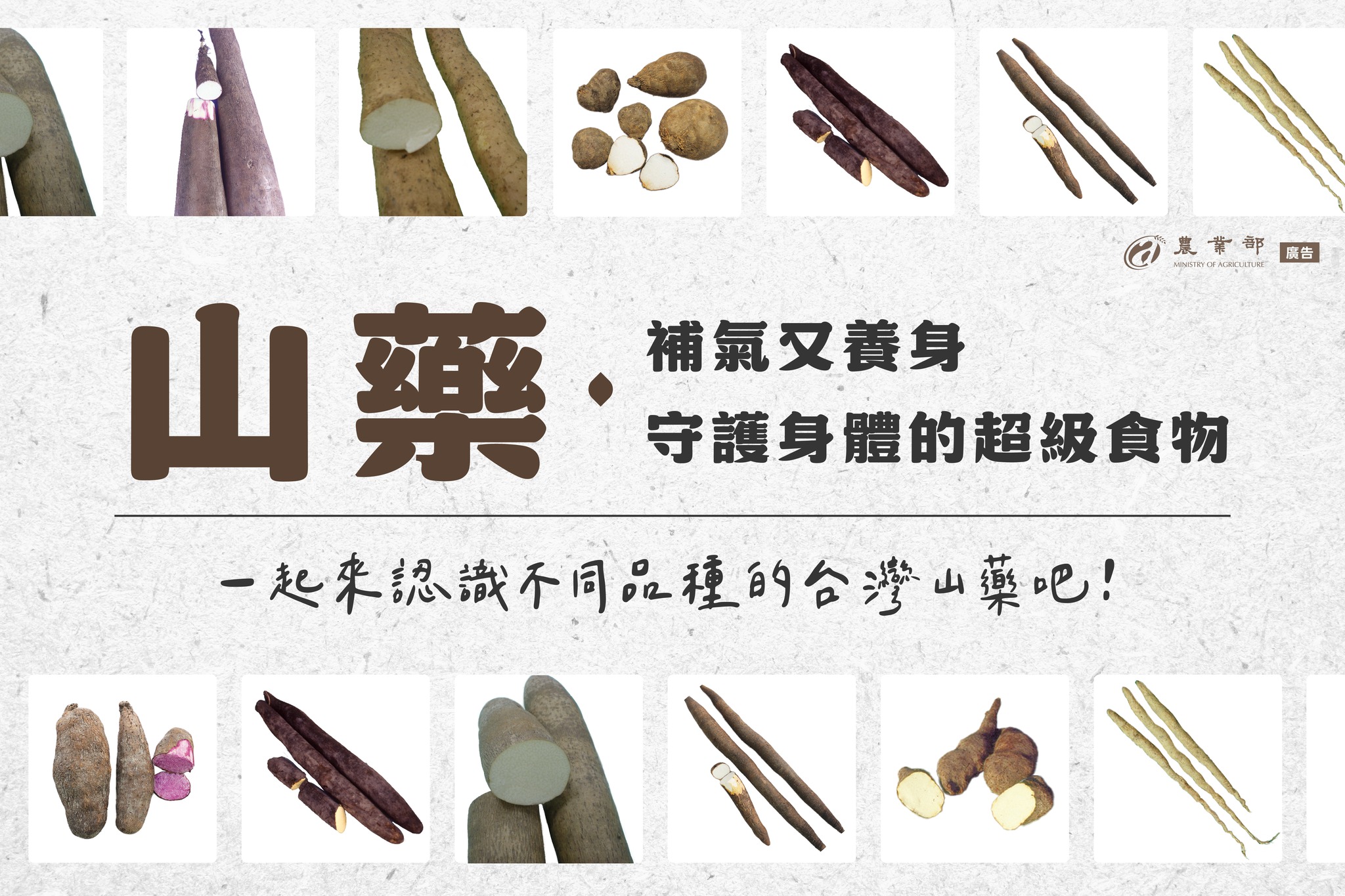 補氣又養身！守護身體的超級食物，山藥！