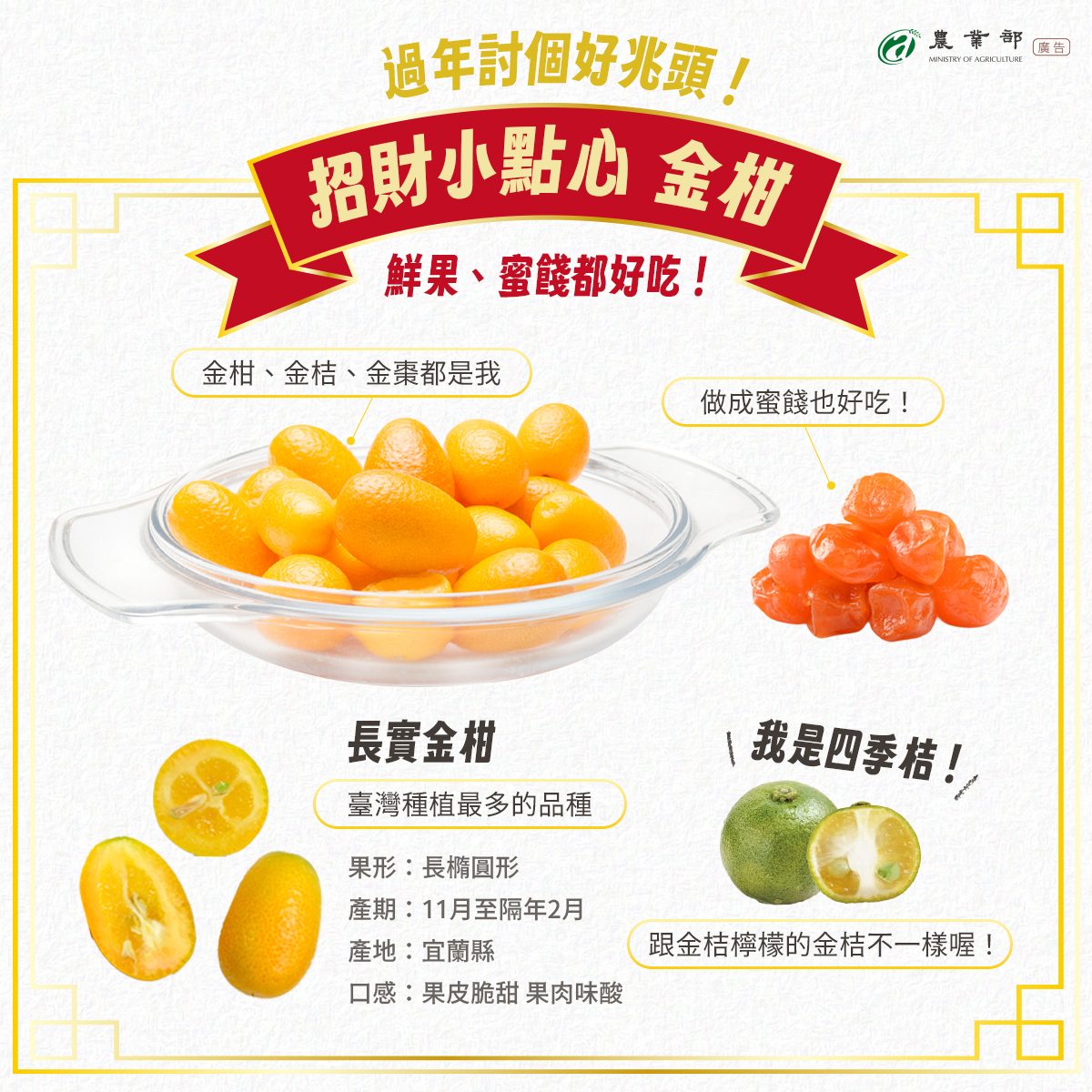 過年餐桌上，怎麼能少了這顆金黃討喜的「招財果」