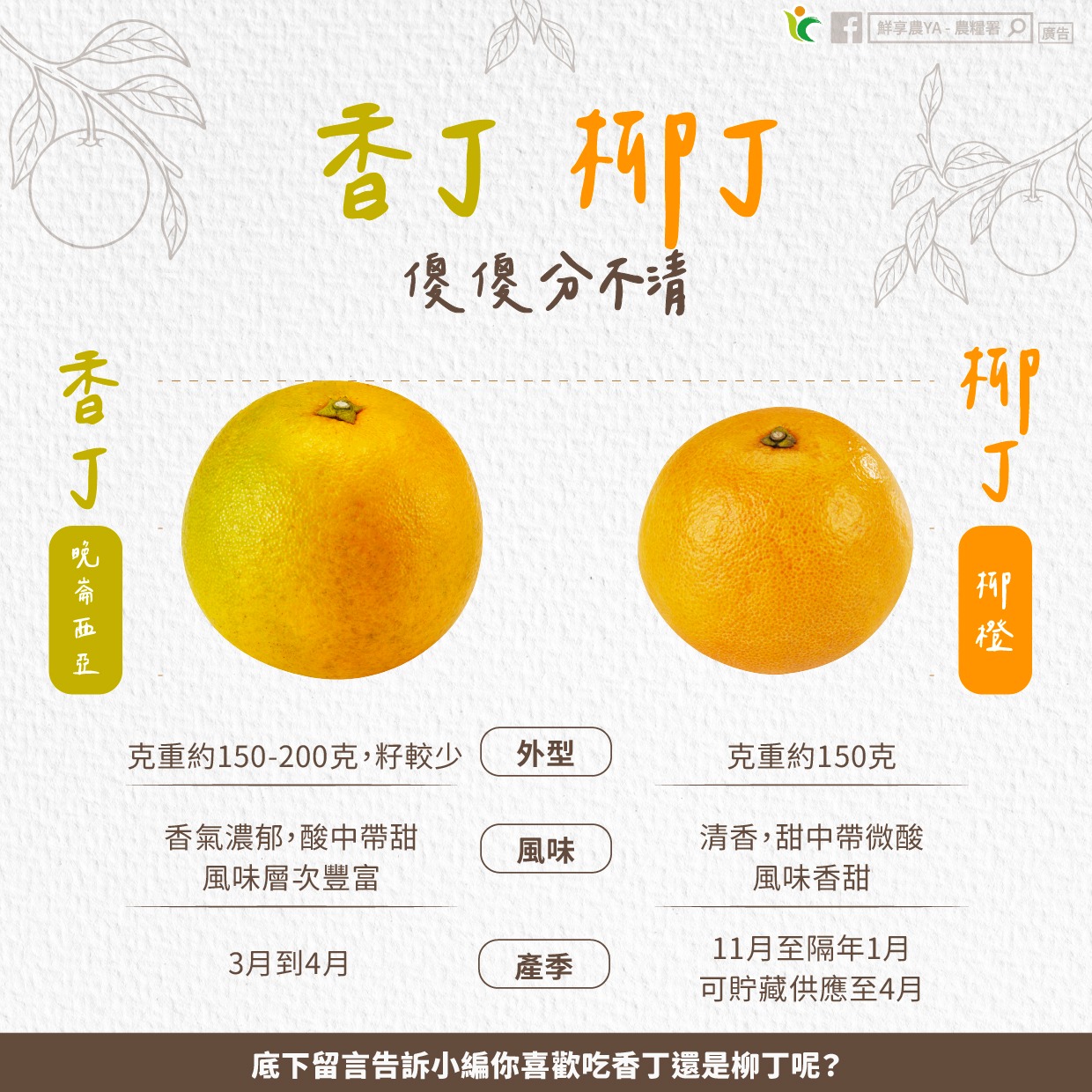 香丁 柳丁 傻傻分不清