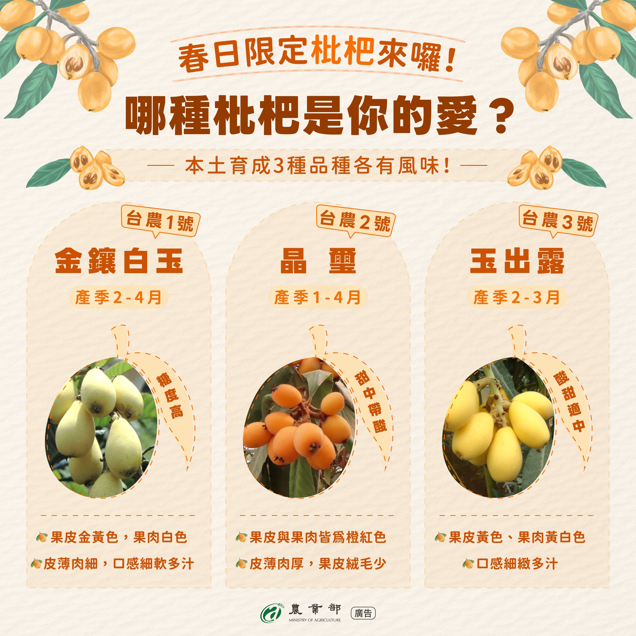 春天限定的可愛水果，枇杷登場！清甜多汁，一咬下去就是滿滿的春天滋味，你今年吃了嗎？