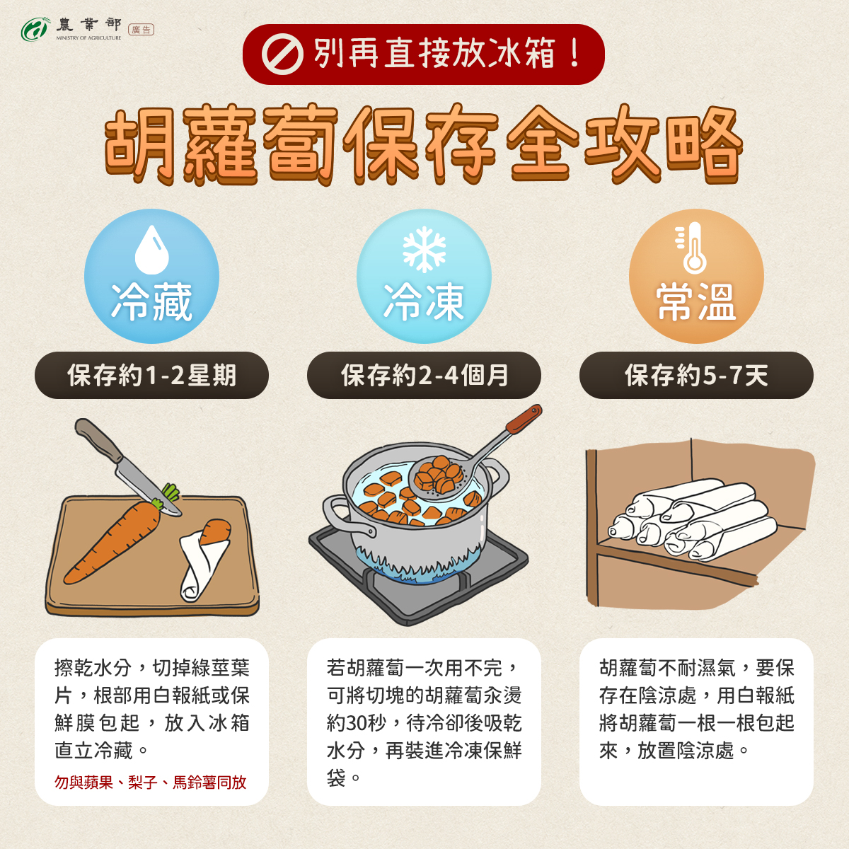 胡蘿蔔別再直接放冰箱！胡蘿蔔其實很好保存