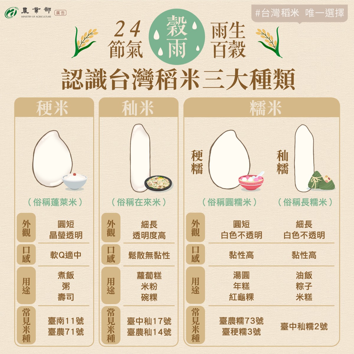 二十四節氣來到穀雨，一起認識台灣稻米的三大類型！