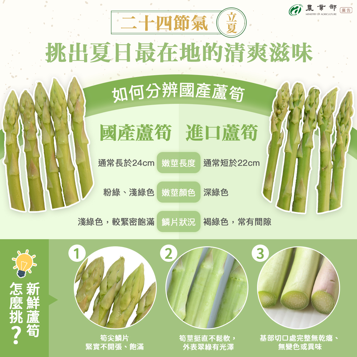 立夏到，吃蘆筍正當時！