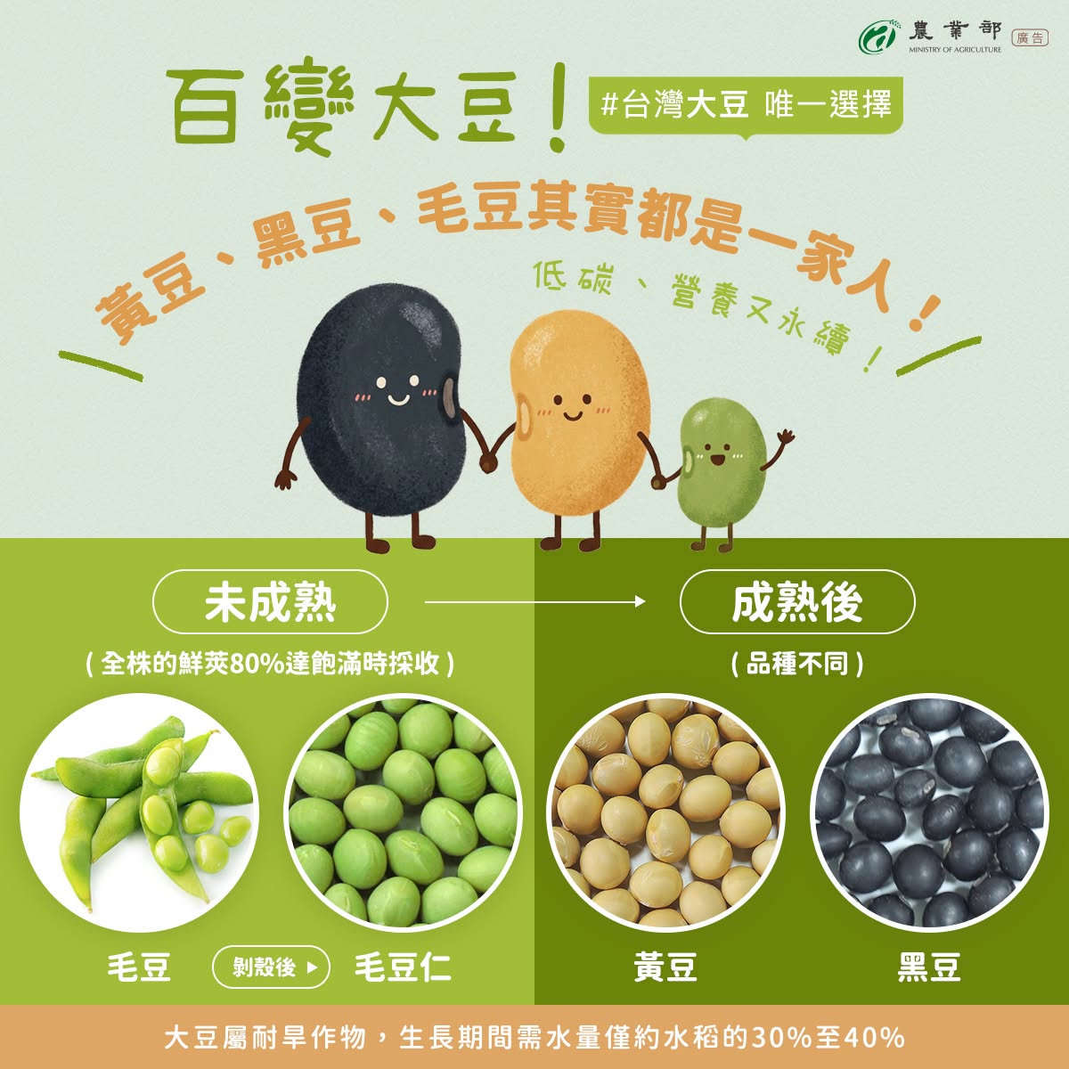臺灣餐桌上常見的豆製品，像是豆腐、豆漿、醬油、豆干，原料大多來自大豆！