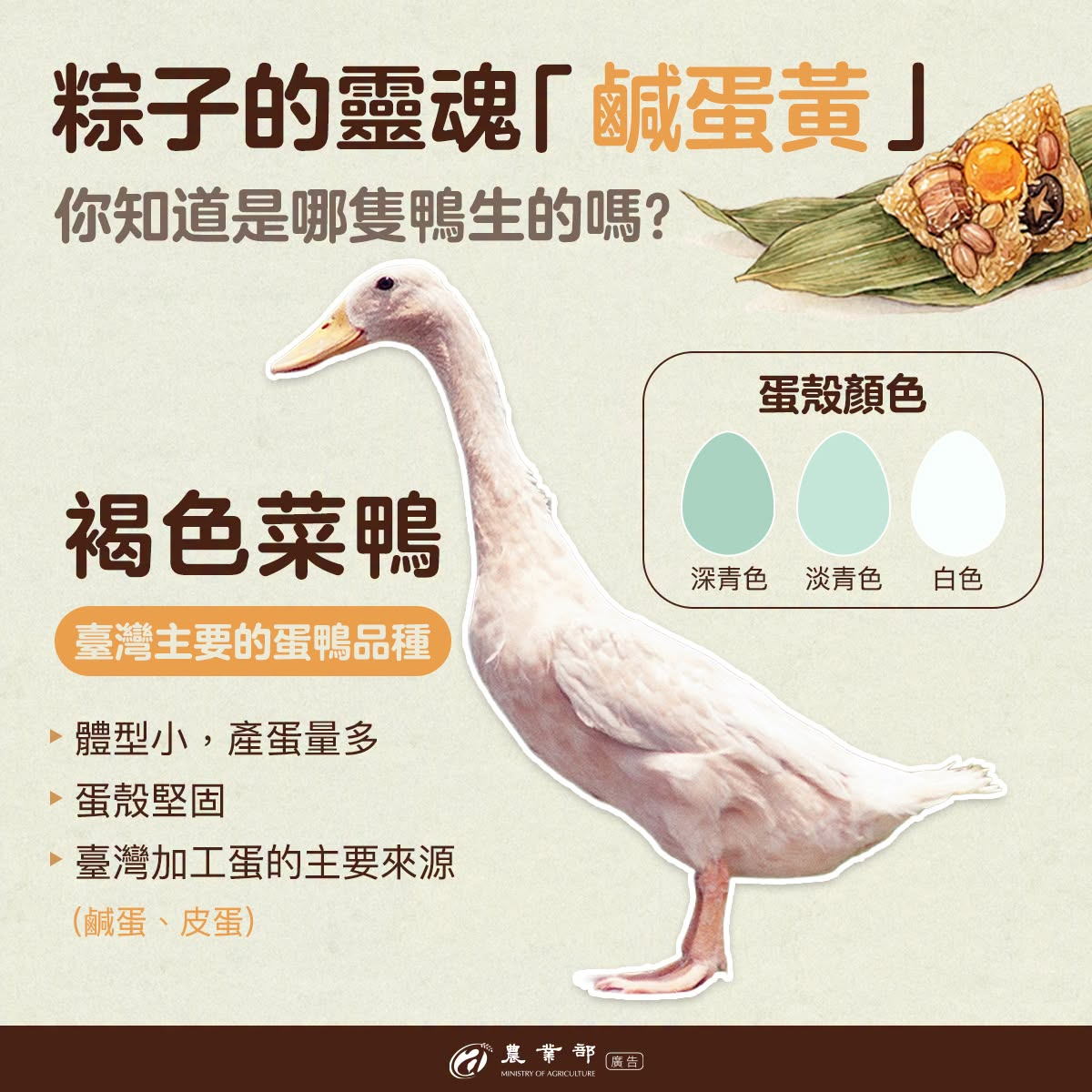 說到端午節，許多人第一個想到的就是香氣四溢的粽子，而讓粽子風味更上一層樓的，正是那顆鹹香綿密的鹹蛋黃！