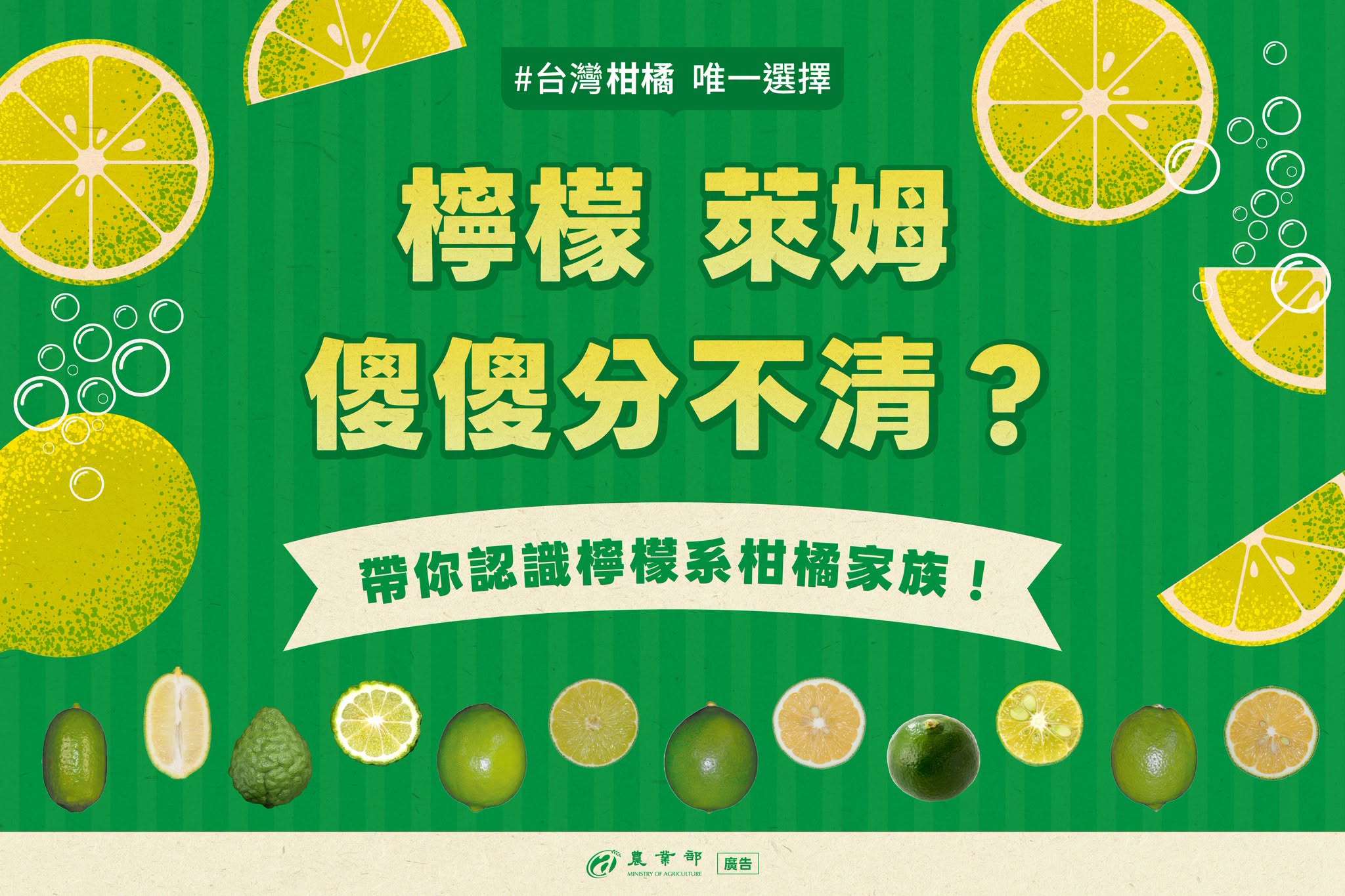 檸檬、萊姆傻傻分不清？想分辨它們，主要是看三個地方：形狀、果皮、油胞（果皮上的小顆粒）！