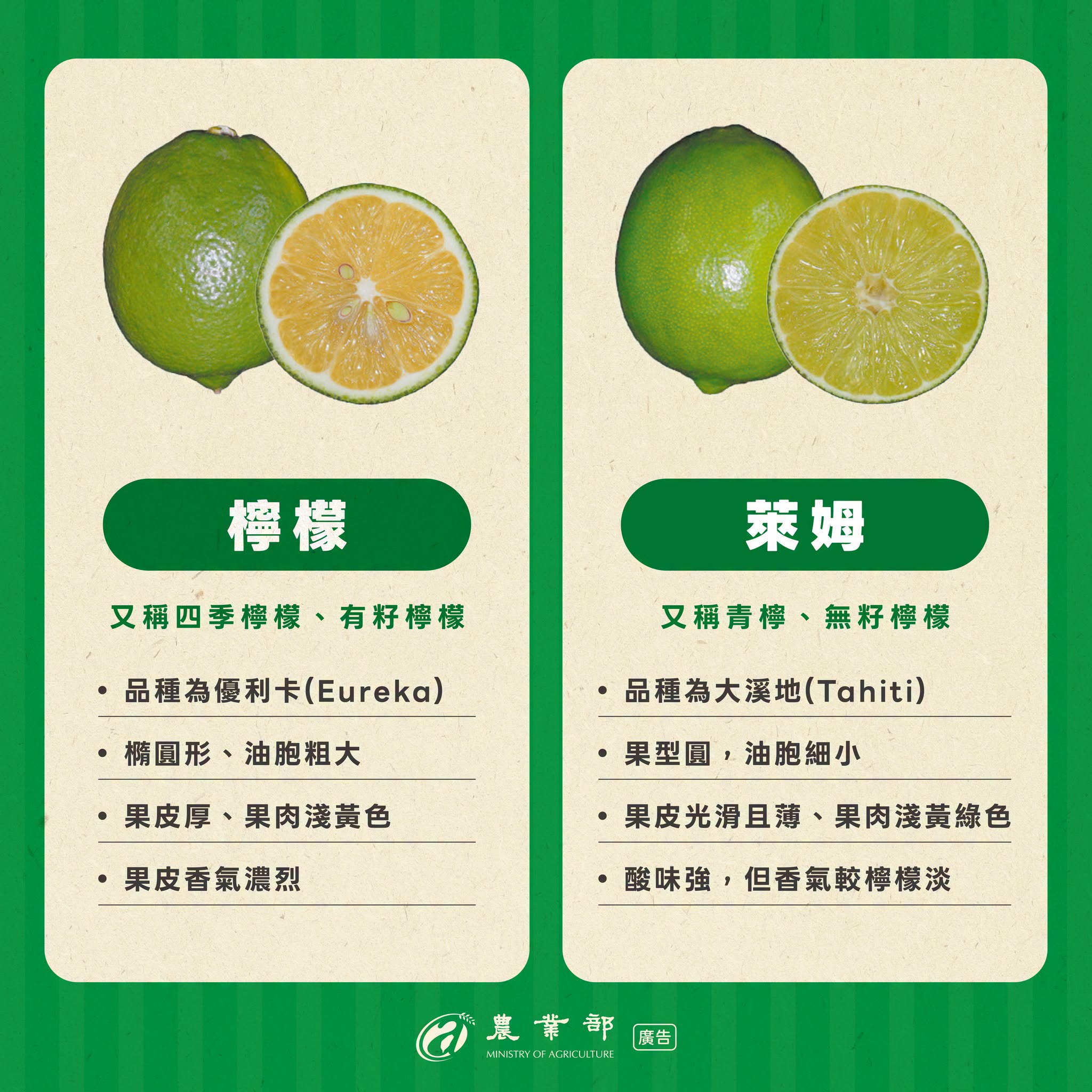檸檬、萊姆傻傻分不清？想分辨它們，主要是看三個地方：形狀、果皮、油胞（果皮上的小顆粒）！02