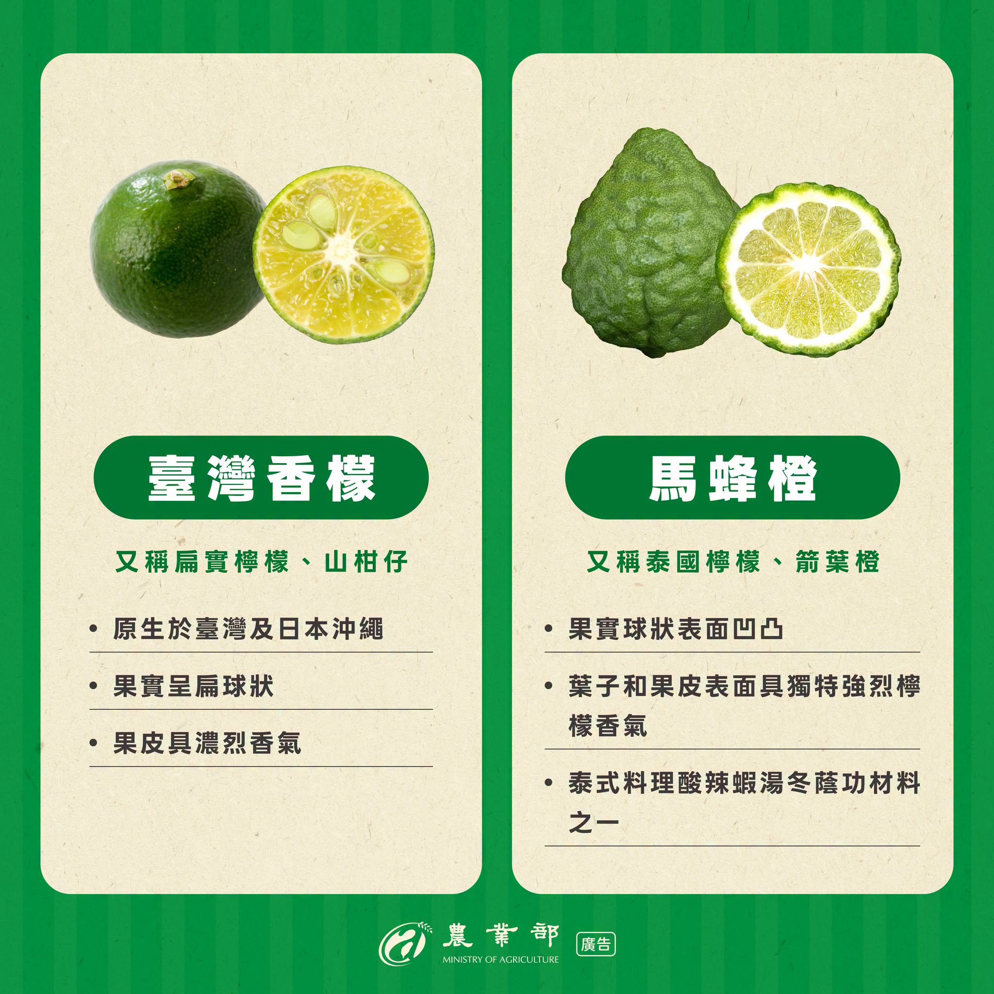 檸檬、萊姆傻傻分不清？想分辨它們，主要是看三個地方：形狀、果皮、油胞（果皮上的小顆粒）！04