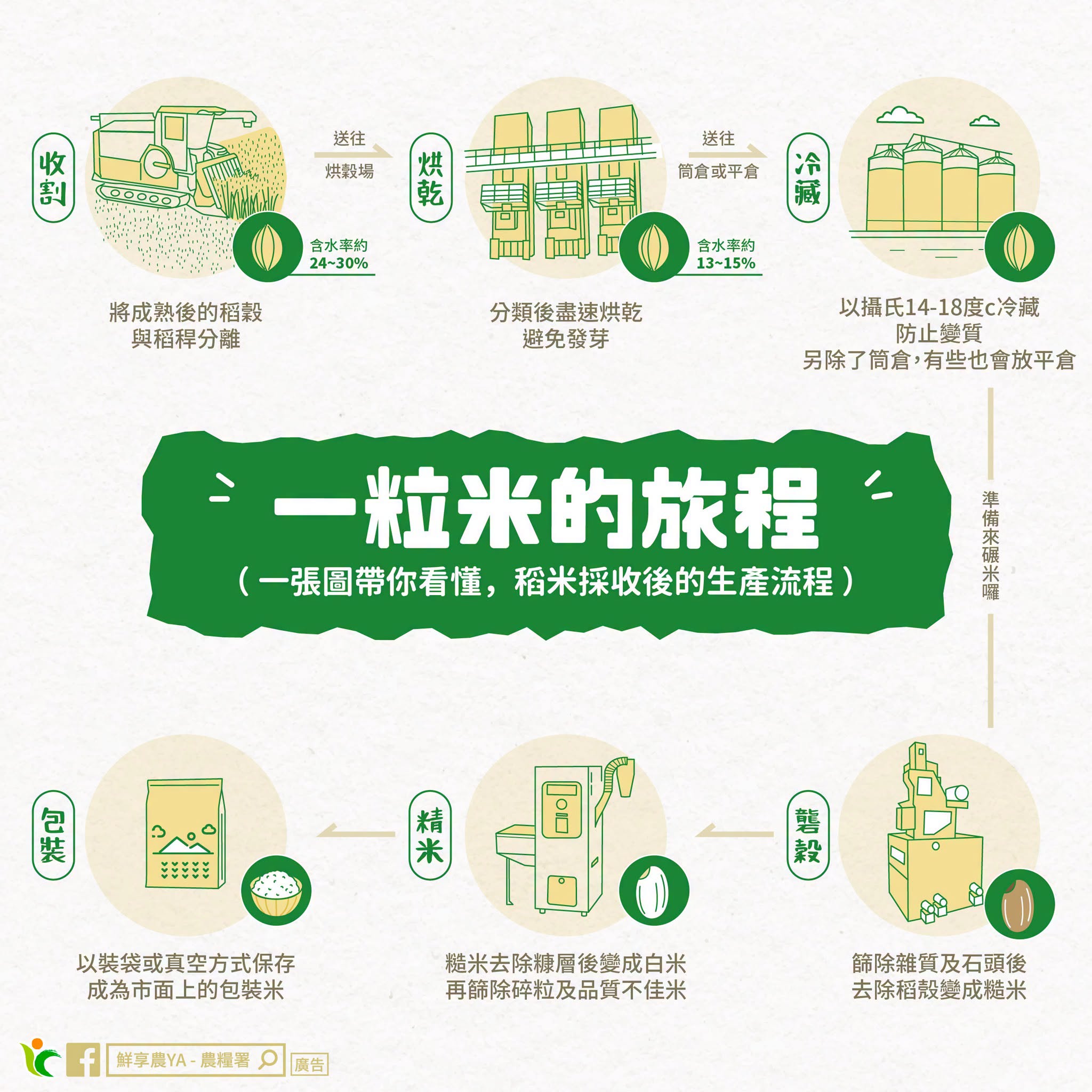 一粒米的旅程