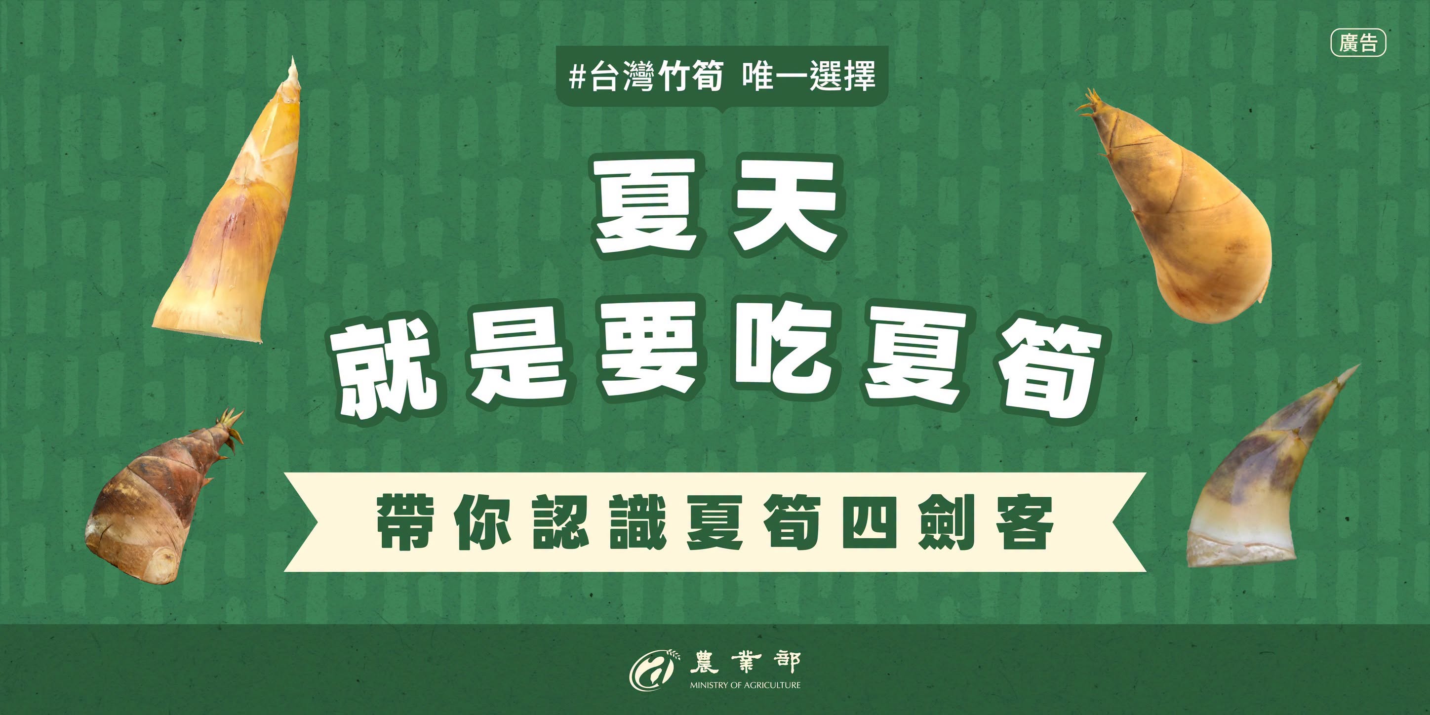 夏天就是吃竹筍的季節！同樣都是竹筍，差別其實很大！